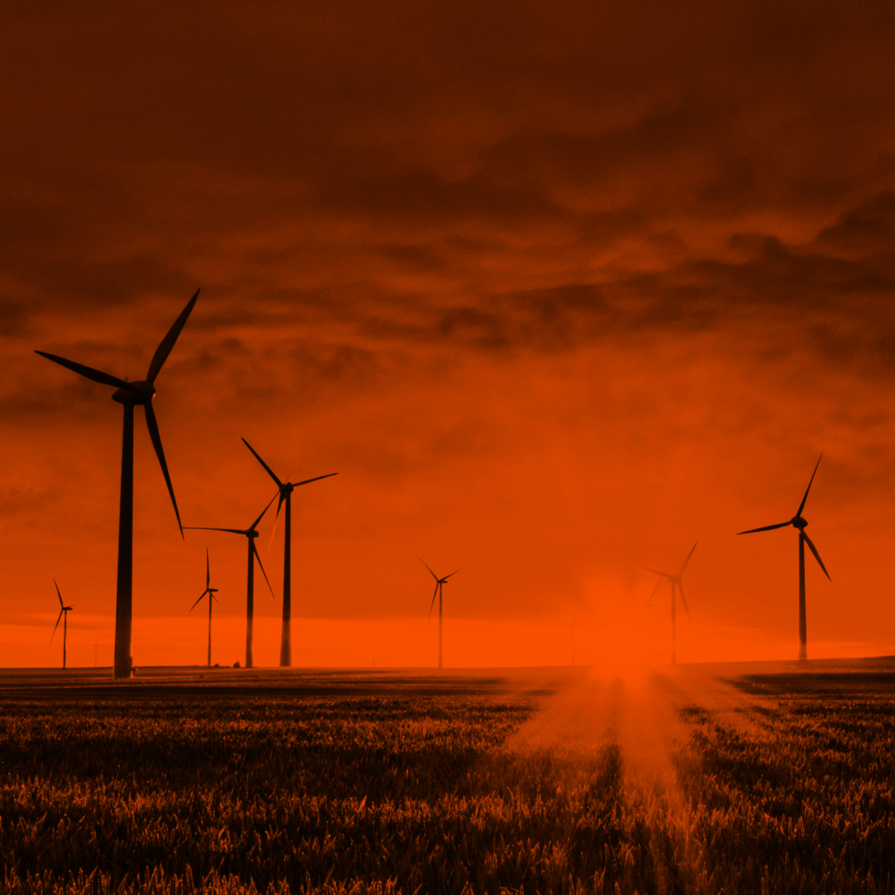 #eco: Better People, Better Power: Kasia Gandor, Krzysztof Rzyman, Anna Pięta o niezależnych źródłach energii