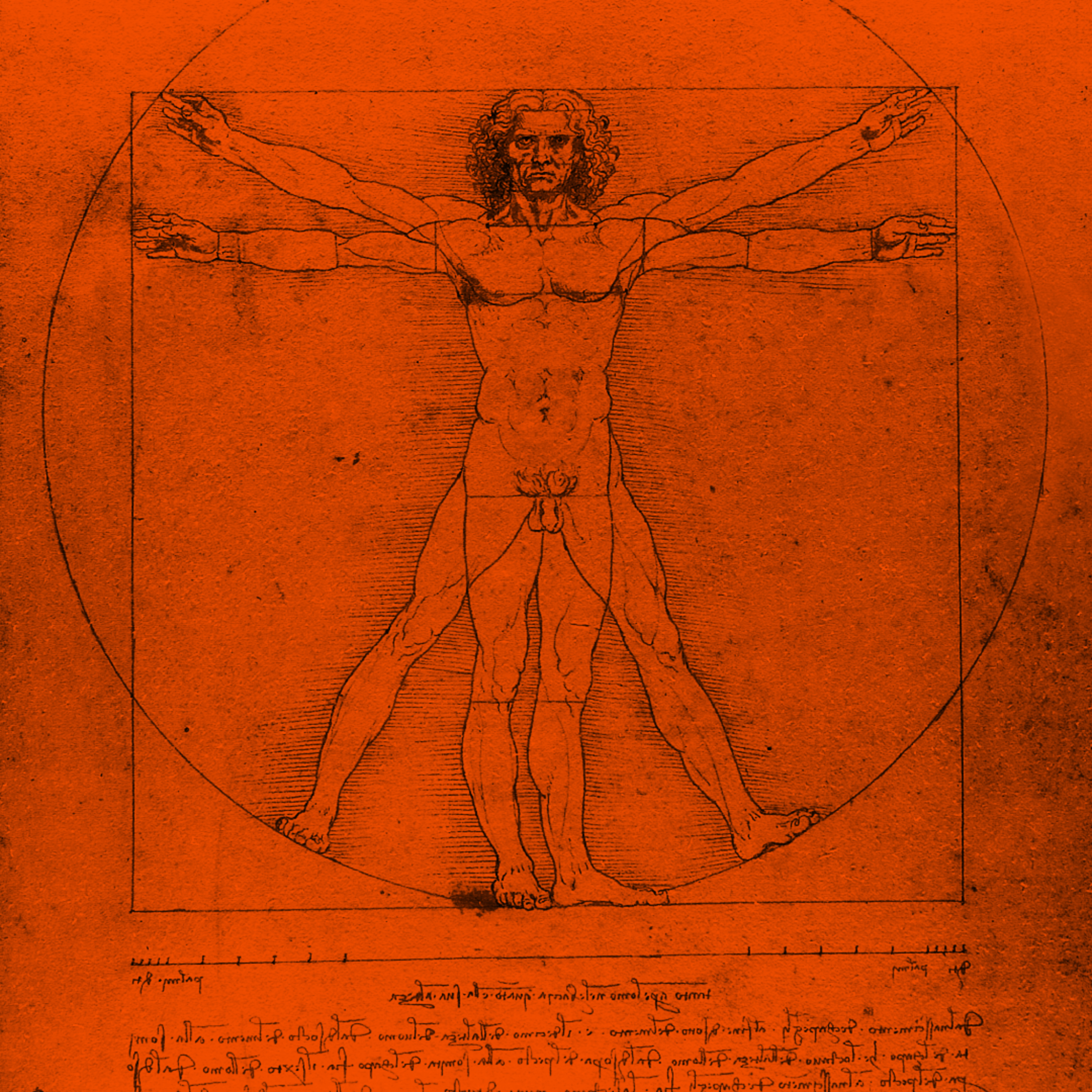 #kultura: inżynier Leonardo