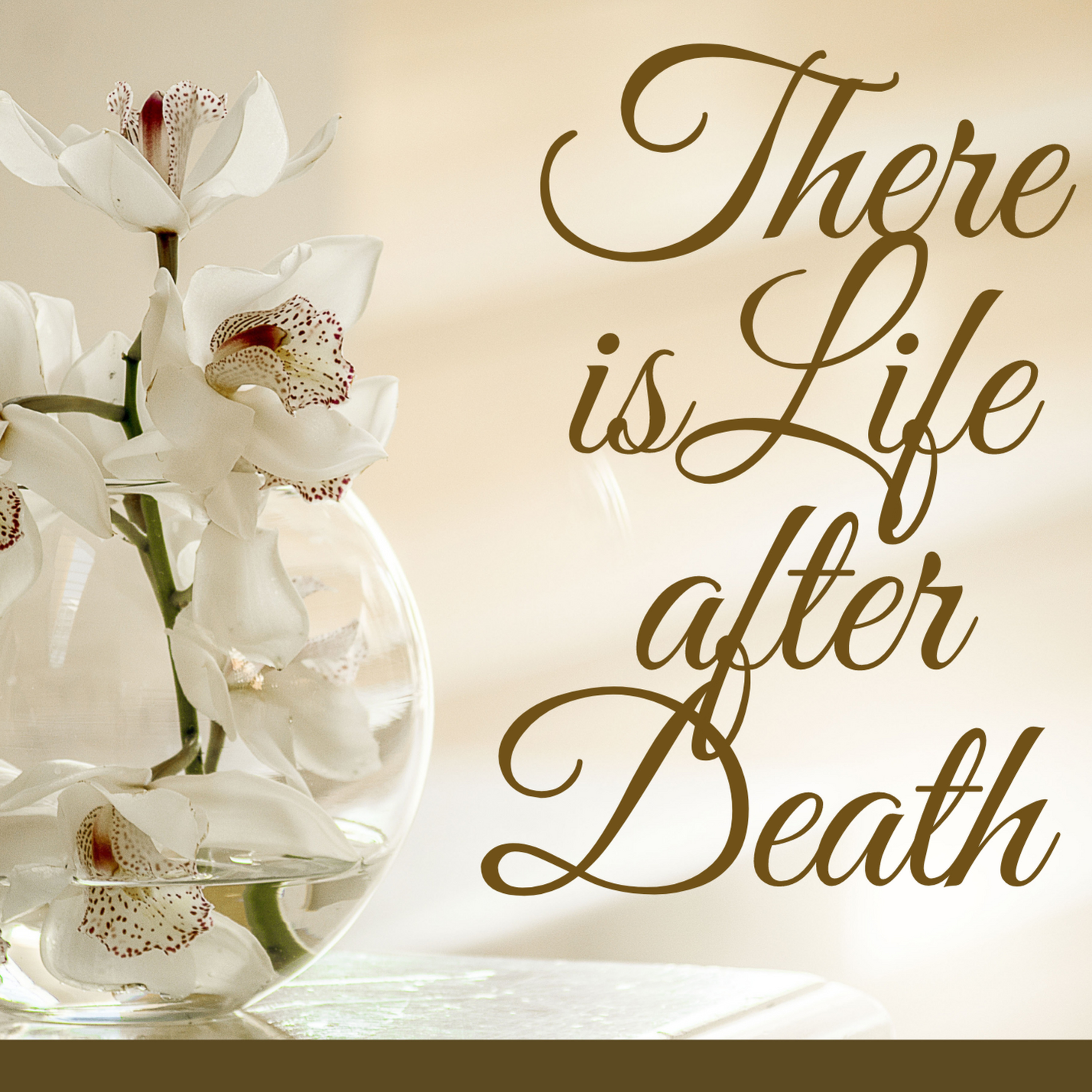 Finding Peace Beyond Grief episode artwork