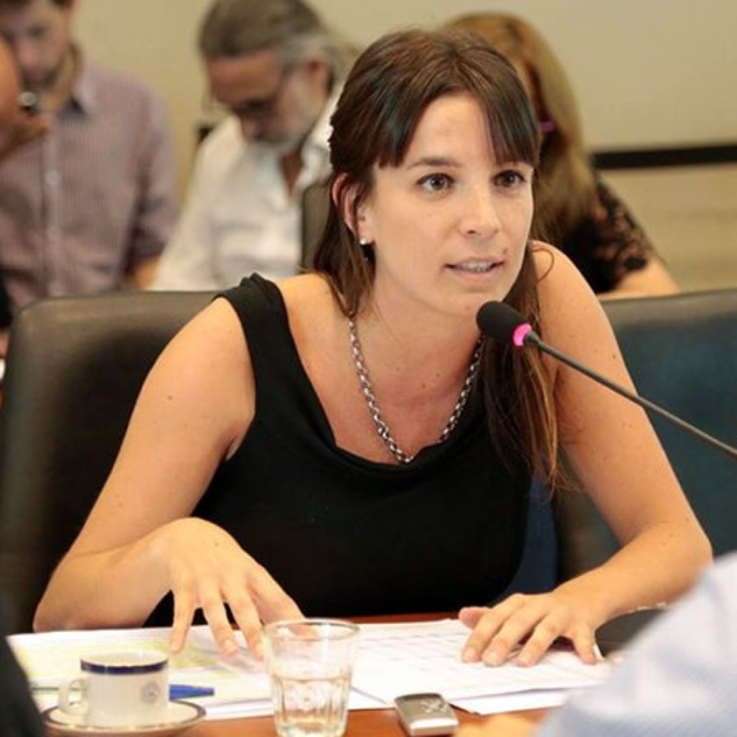 Marcha Sin Querellas