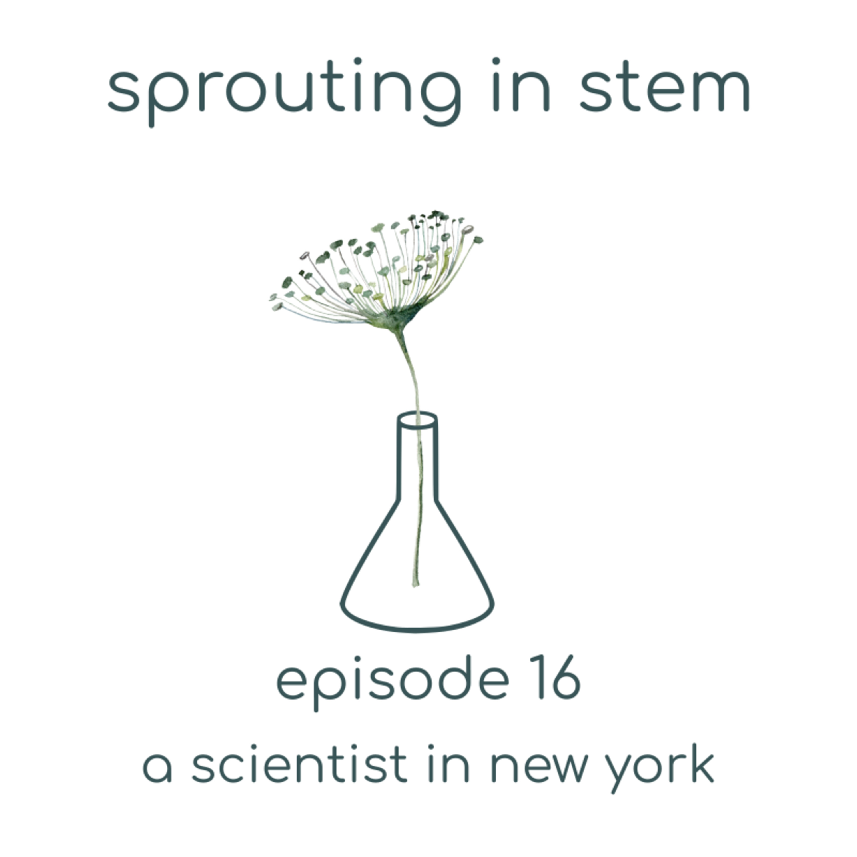Sprouting in STEM