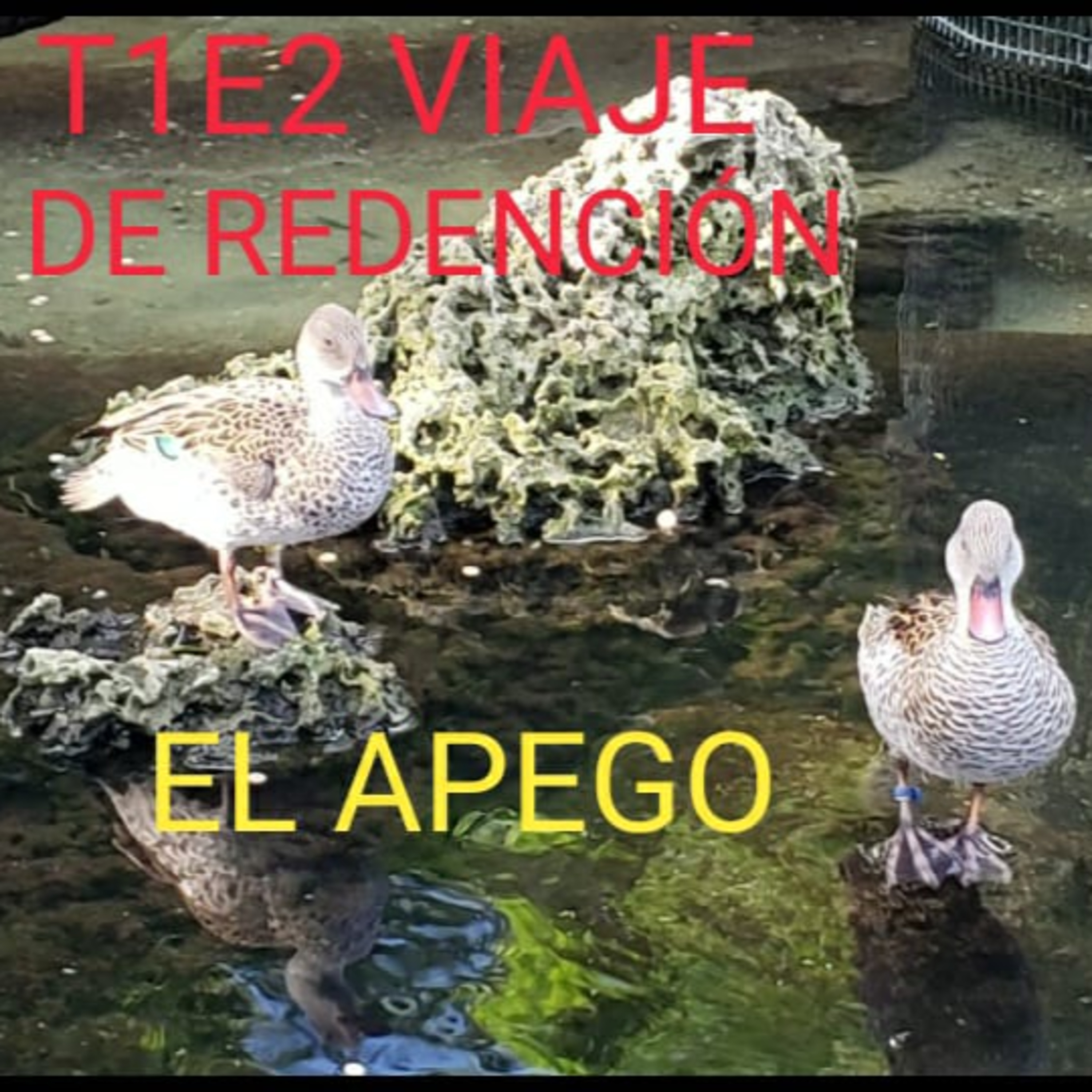 T1E2 VIAJES DE REDENCIÓN - TEMA APEGO episode artwork
