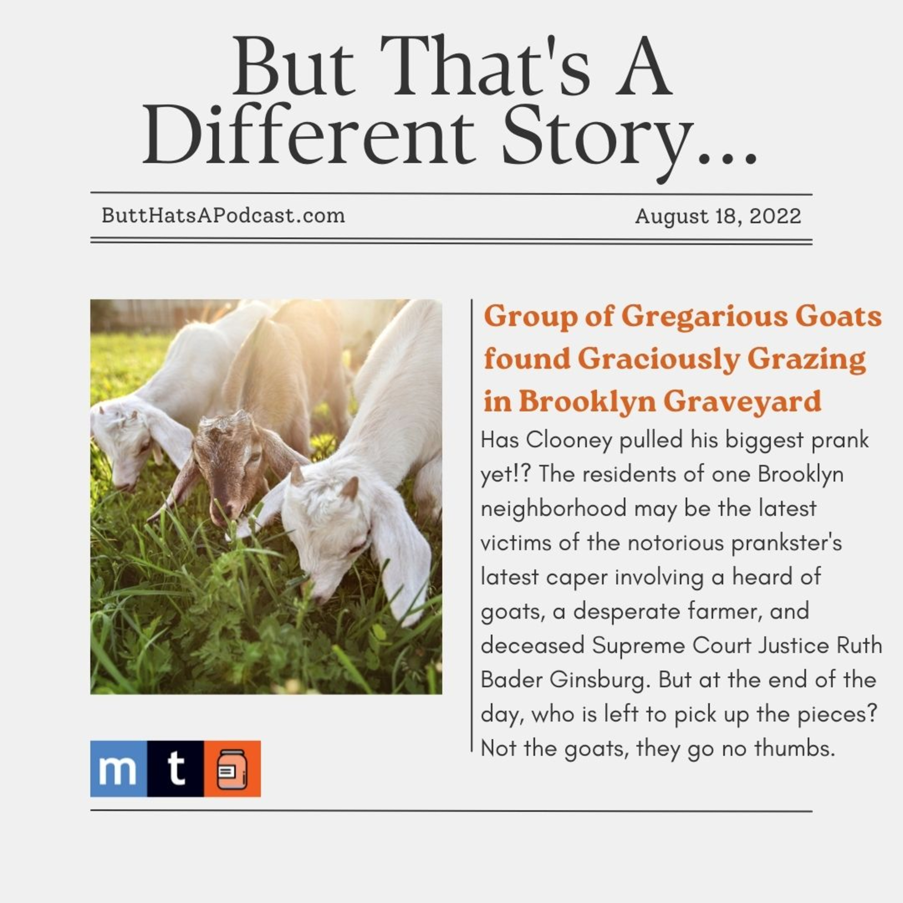 Headlines! Group of Gregarious Goats found Graciously Grazing in Brooklyn Graveyard episode artwork