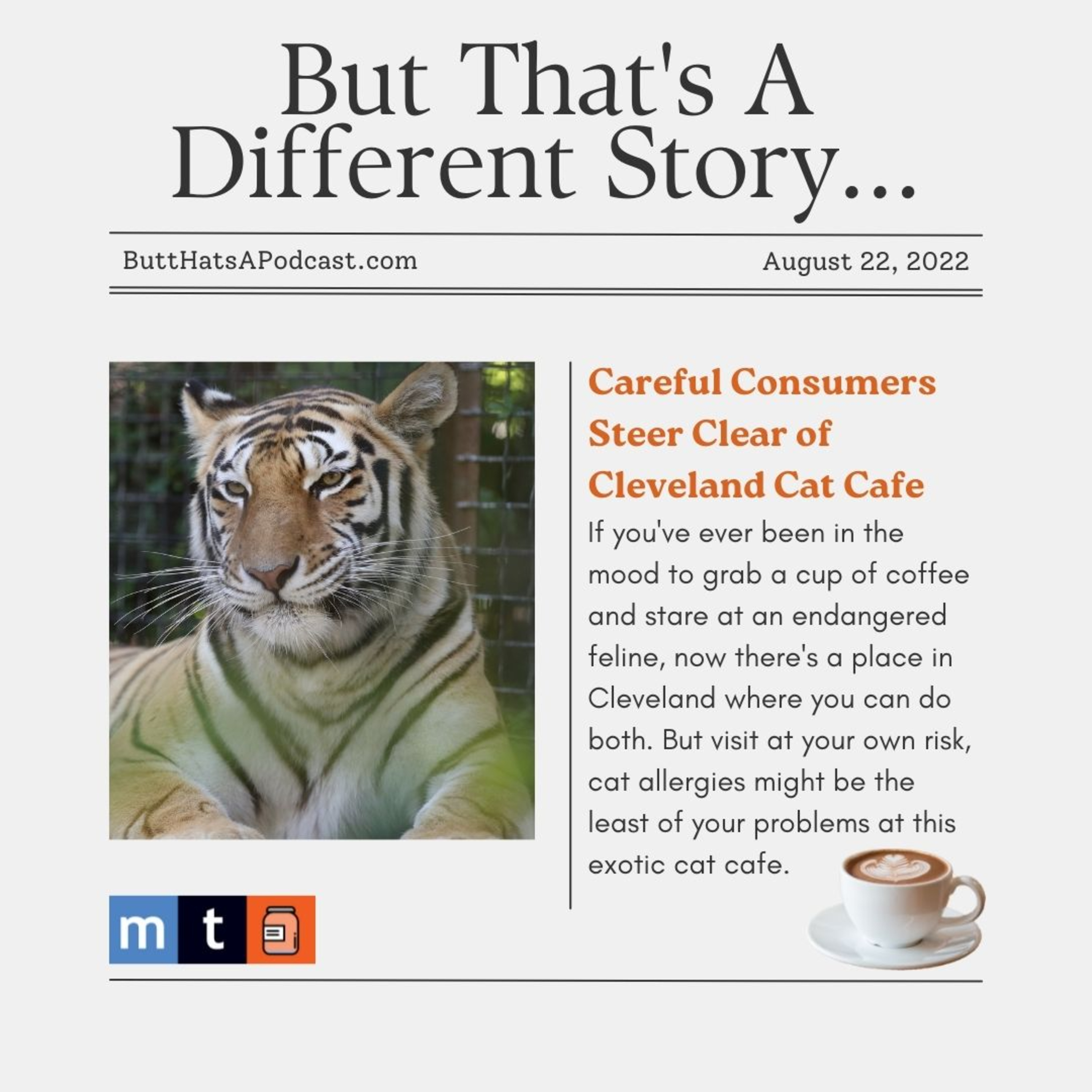 Headlines! Careful Consumers Steer Clear of Cleveland Cat Cafe episode artwork