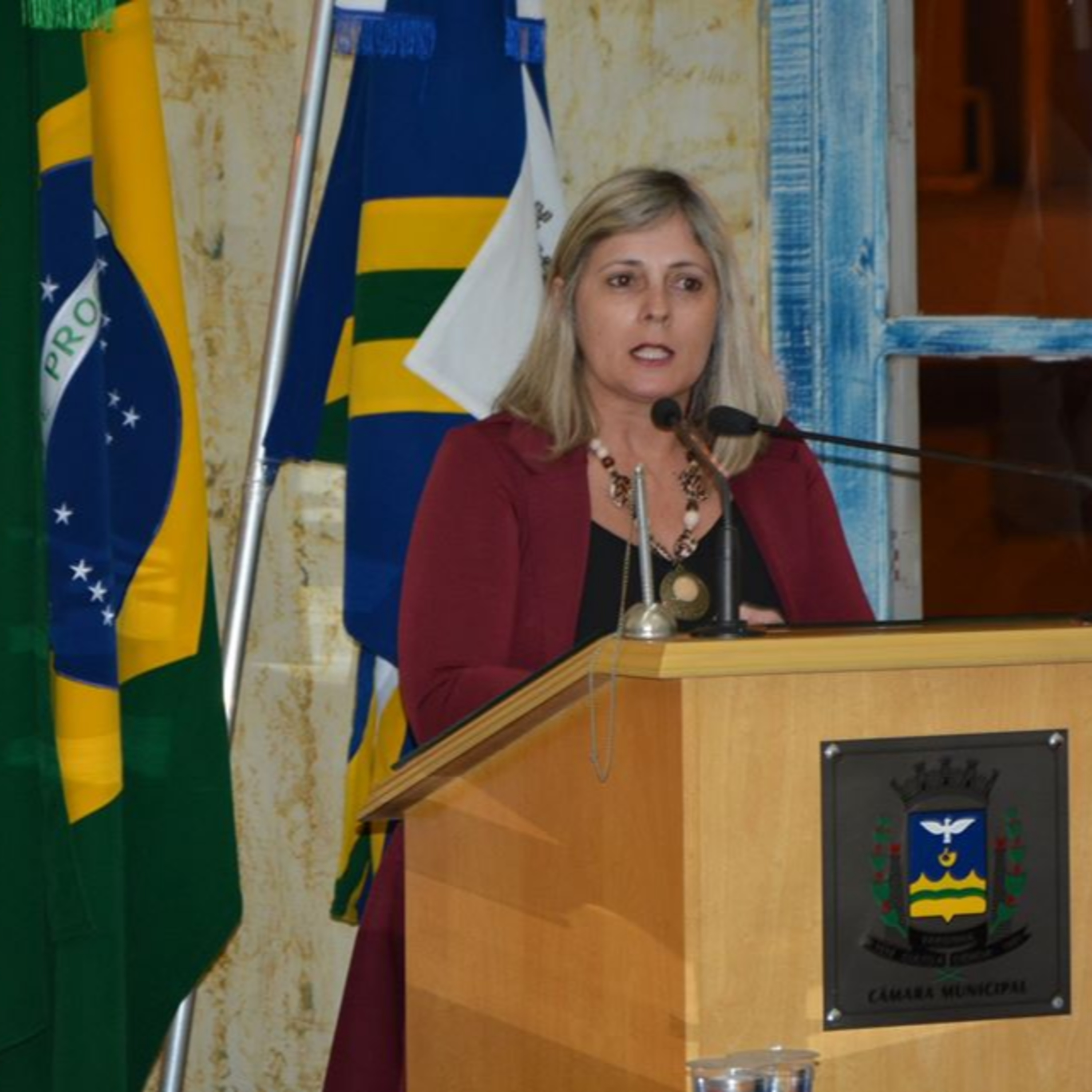 Conexão Varginha | Rodolfo de Souza | Conteúdos Jornalísticos em Áudio