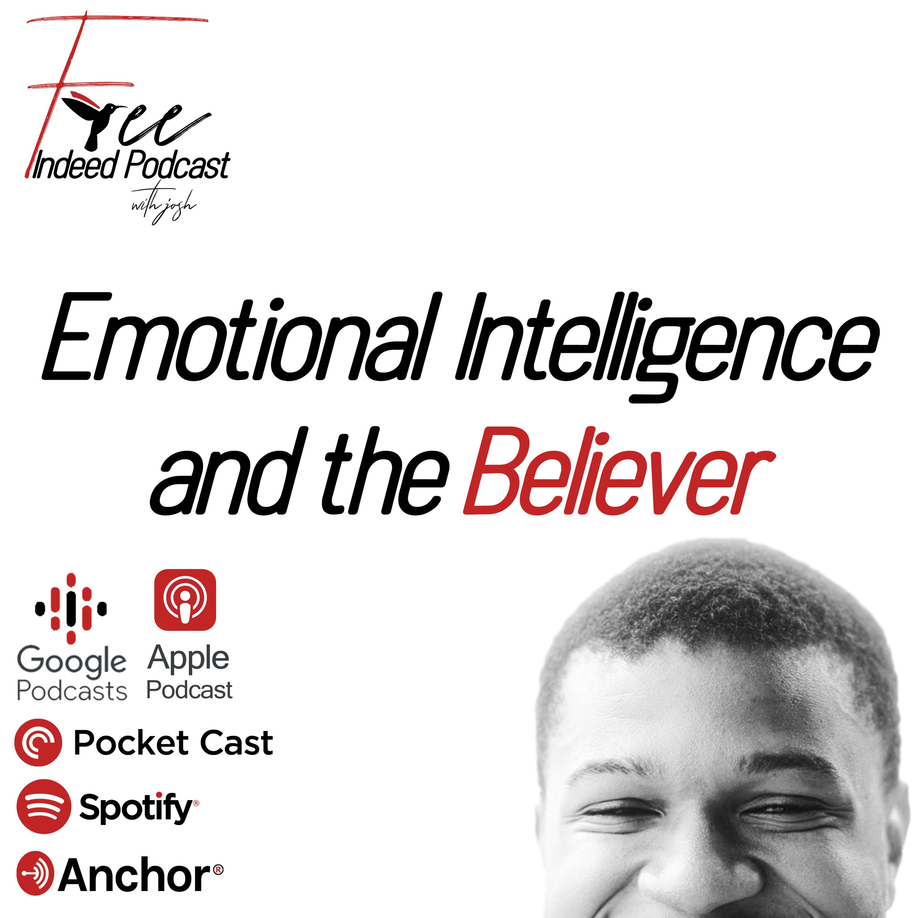 Emotional Intelligence and the Believer 
