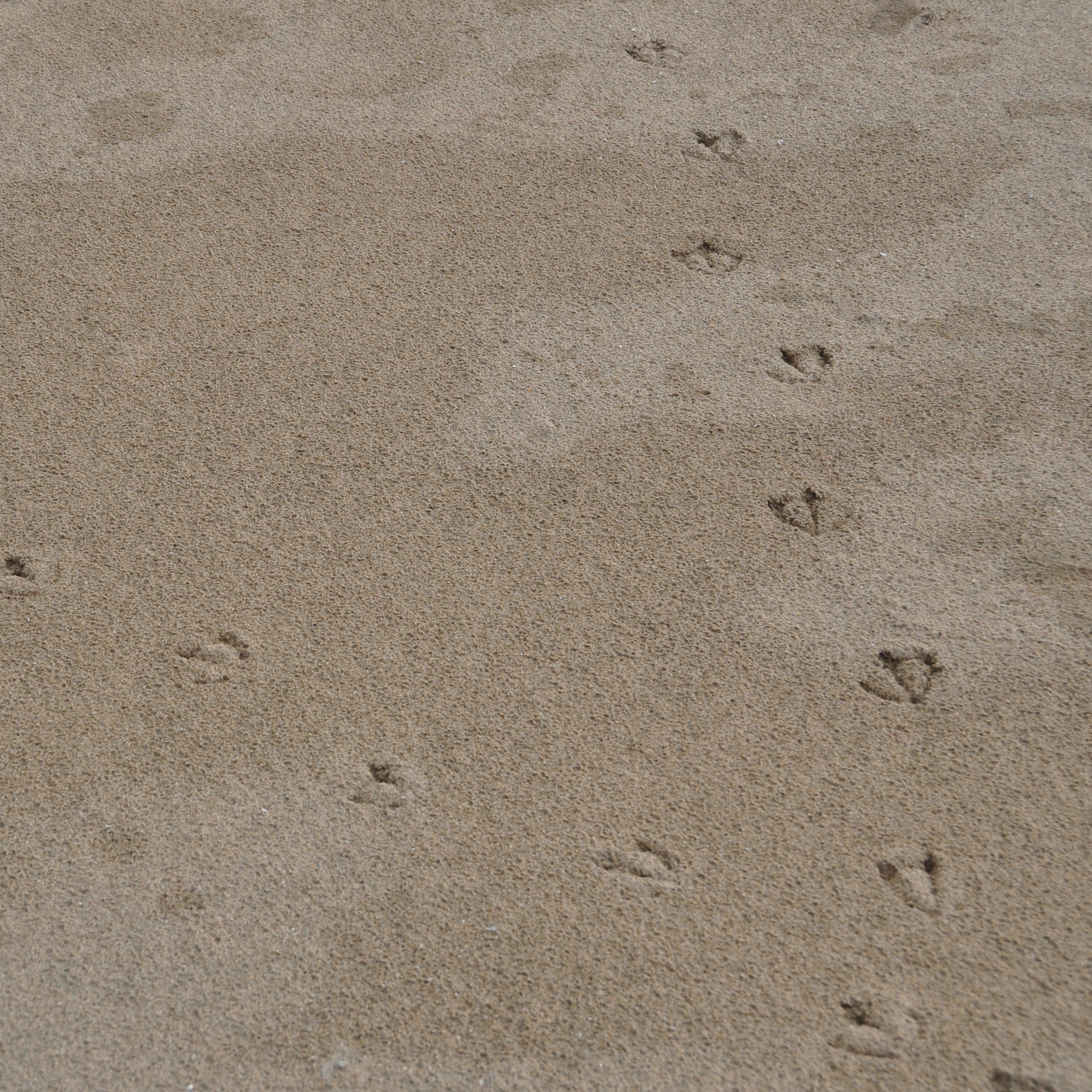 #1 How to Manage Your Digital Footprint