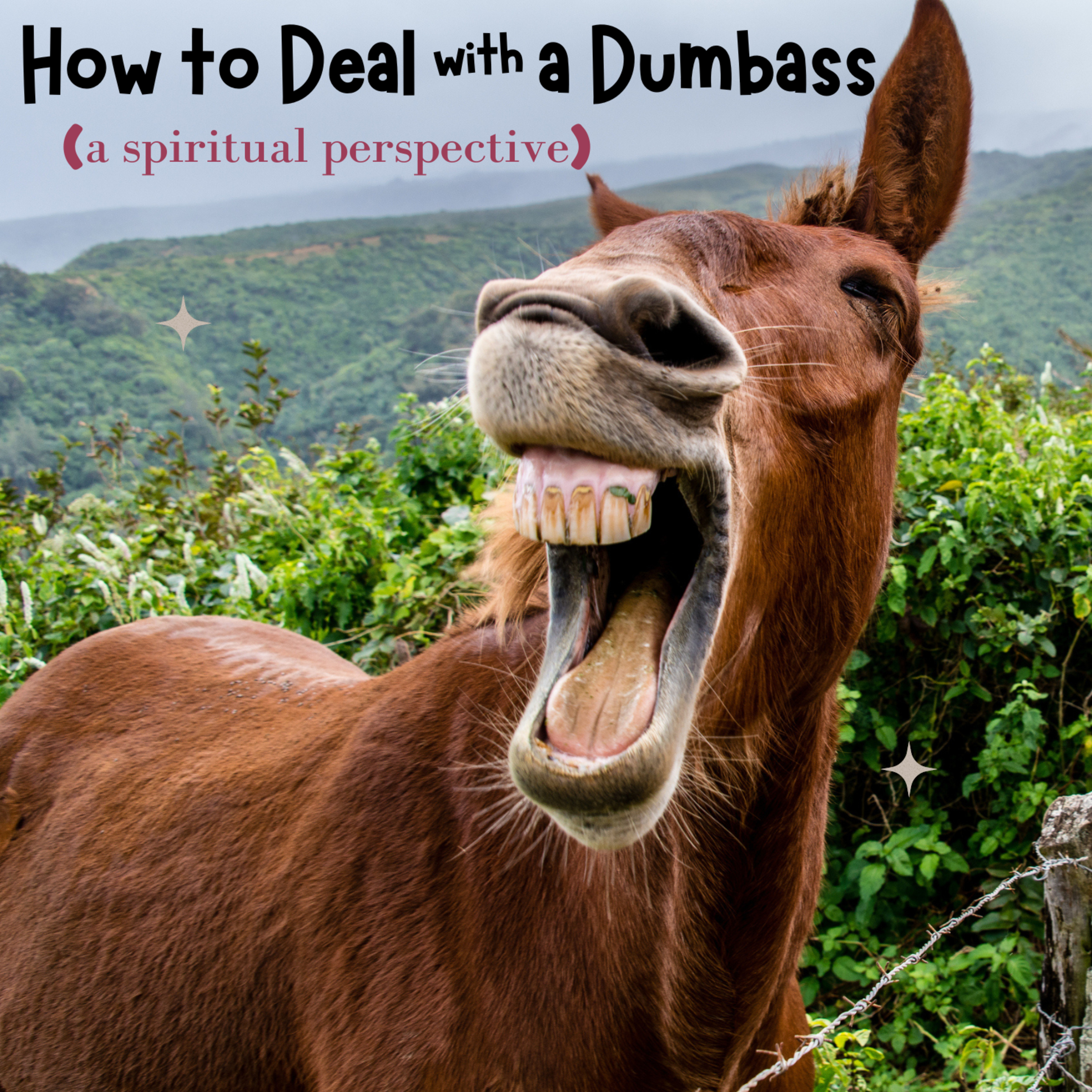 How to Deal with a Dumbass (a spiritual perspective)