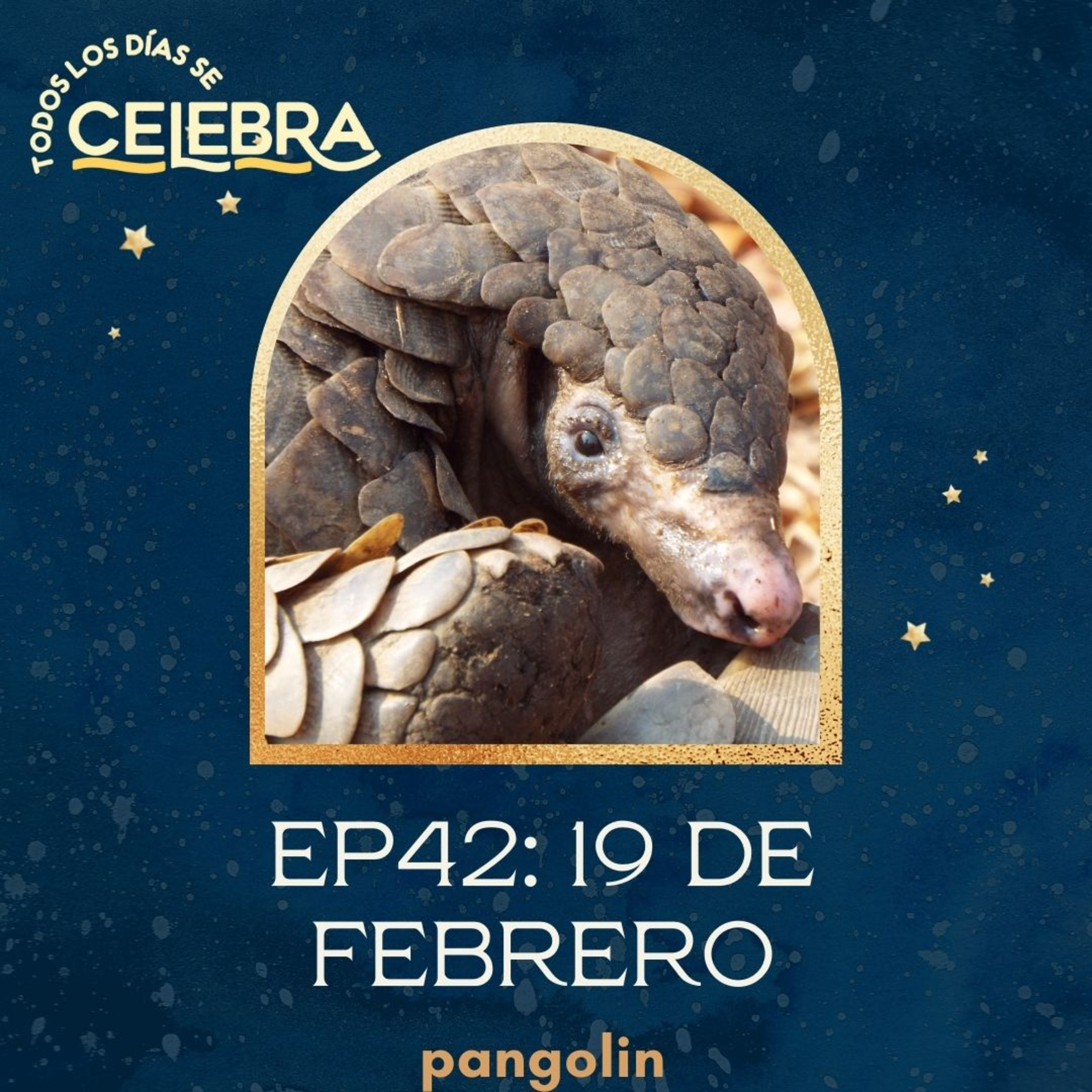 Todos Los Días Se Celebra