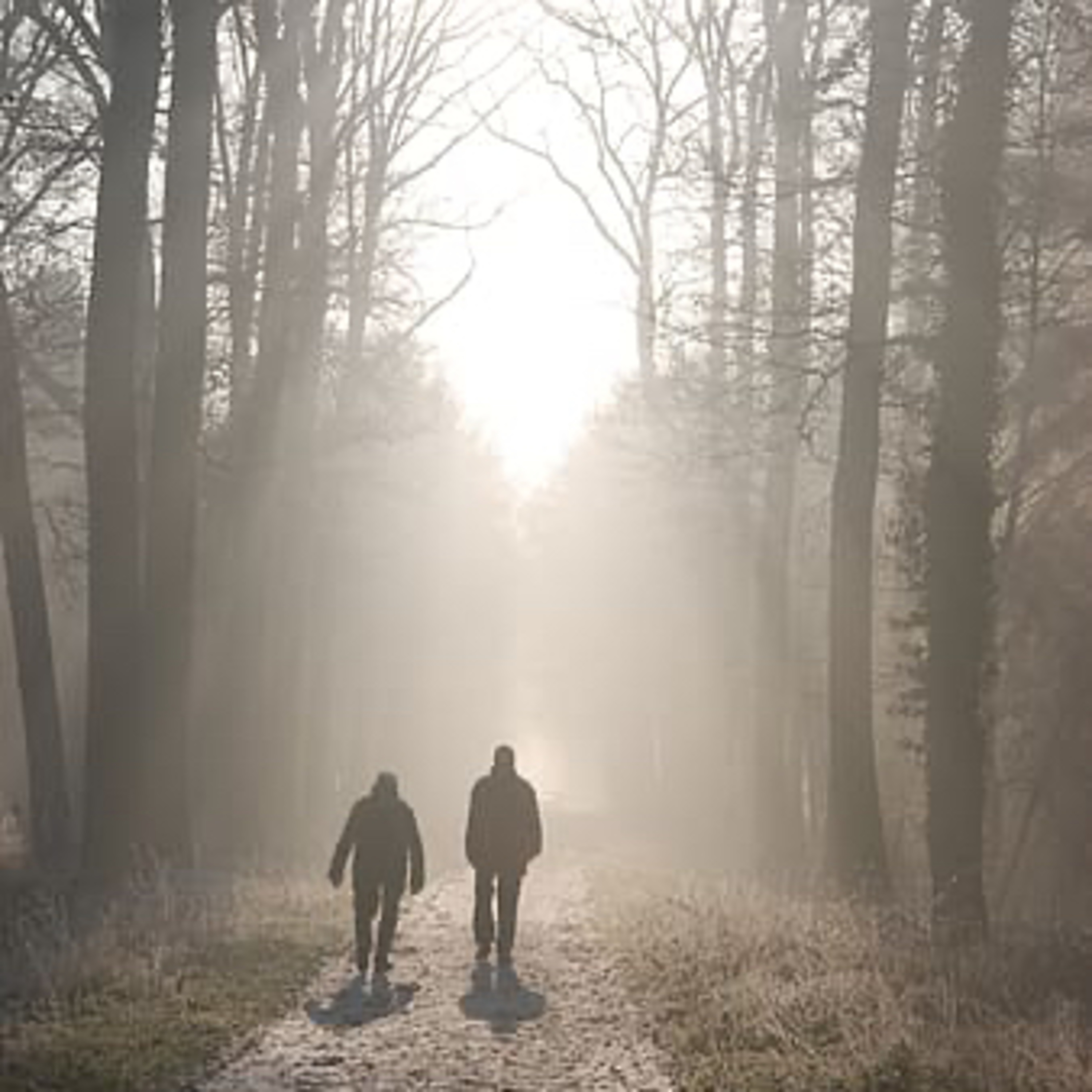 176 Do We Walk With God? -Bro. Adam Luper episode artwork