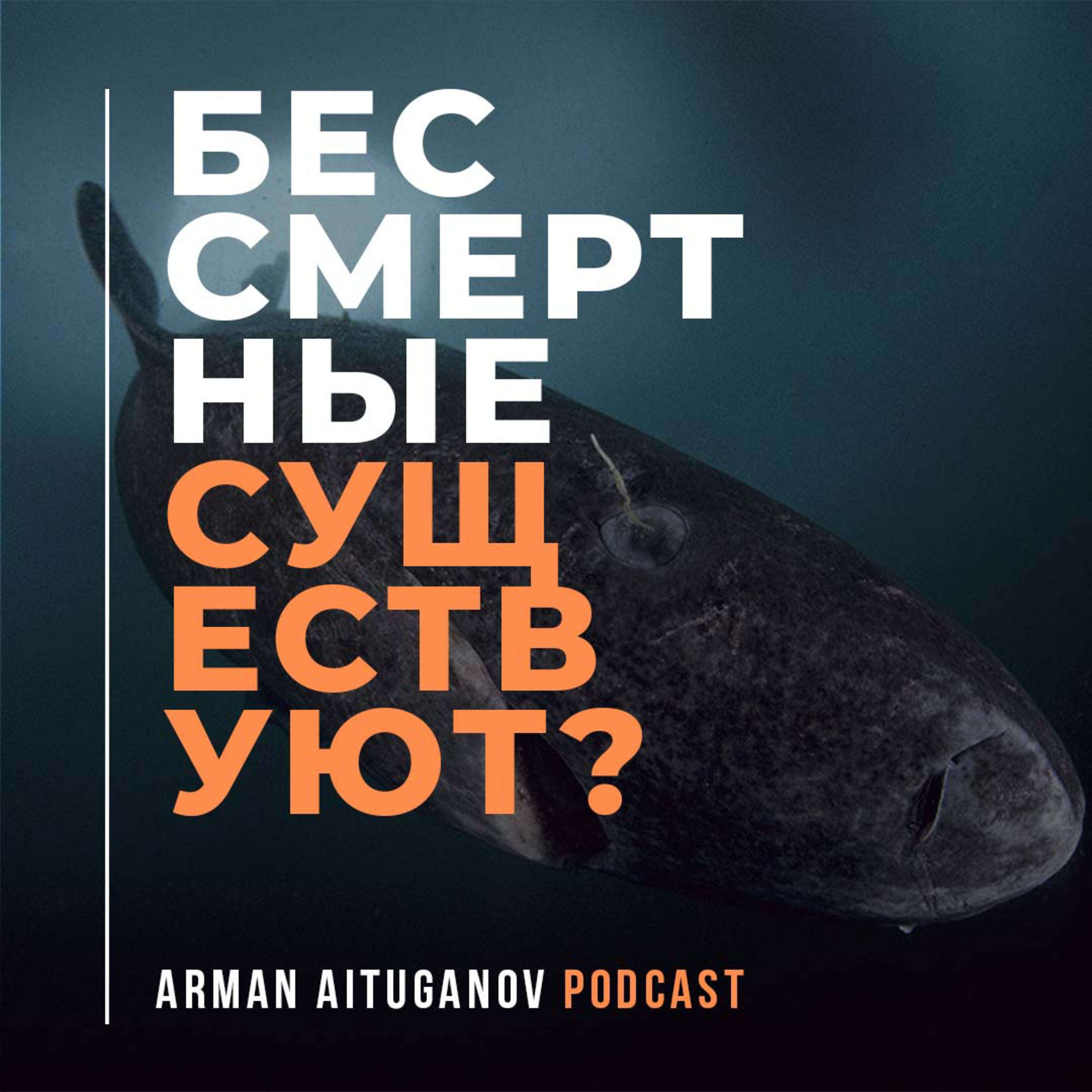 Arman Aituganov Podcast