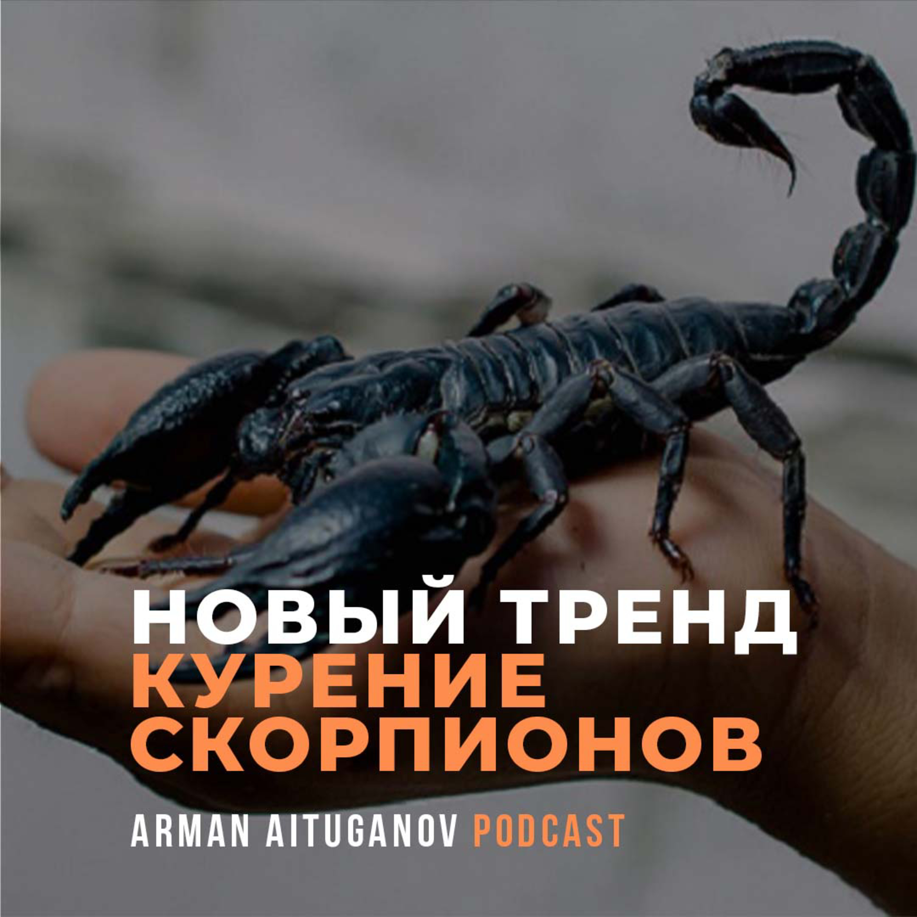 Arman Aituganov Podcast