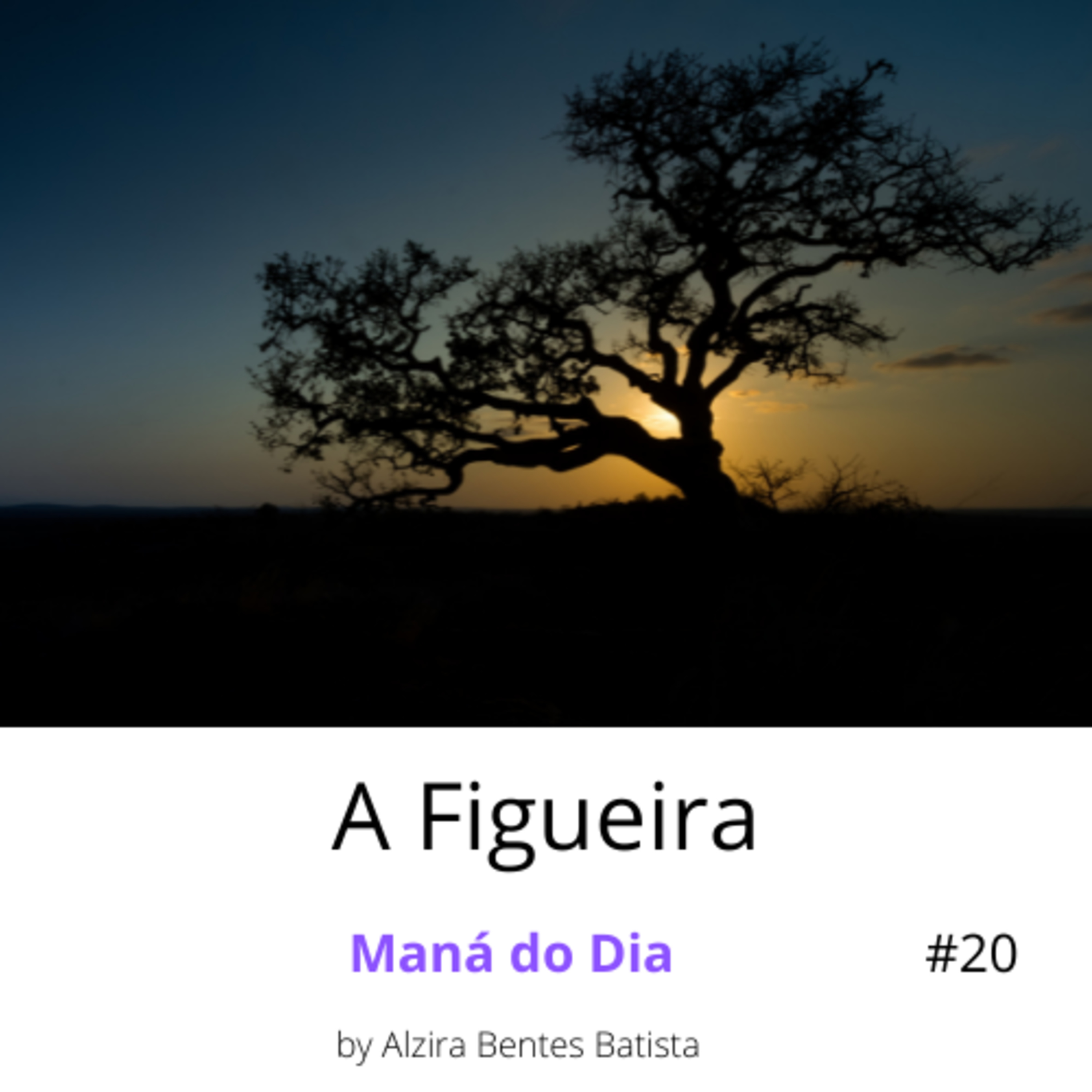 A Figueira #20 episode artwork