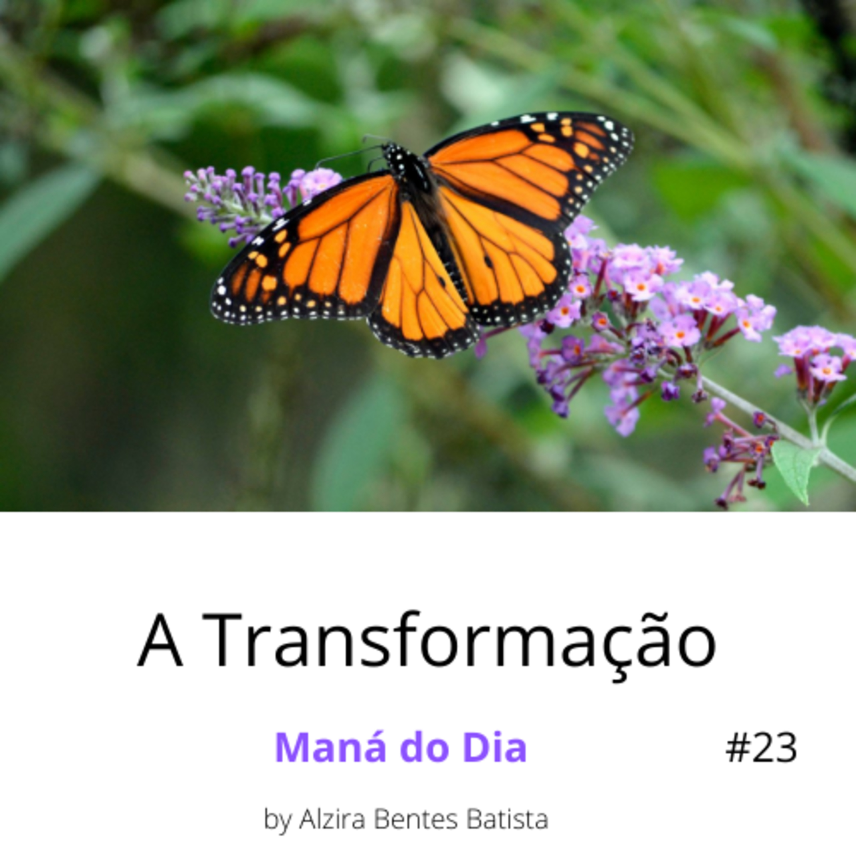 A Transformação #23 episode artwork