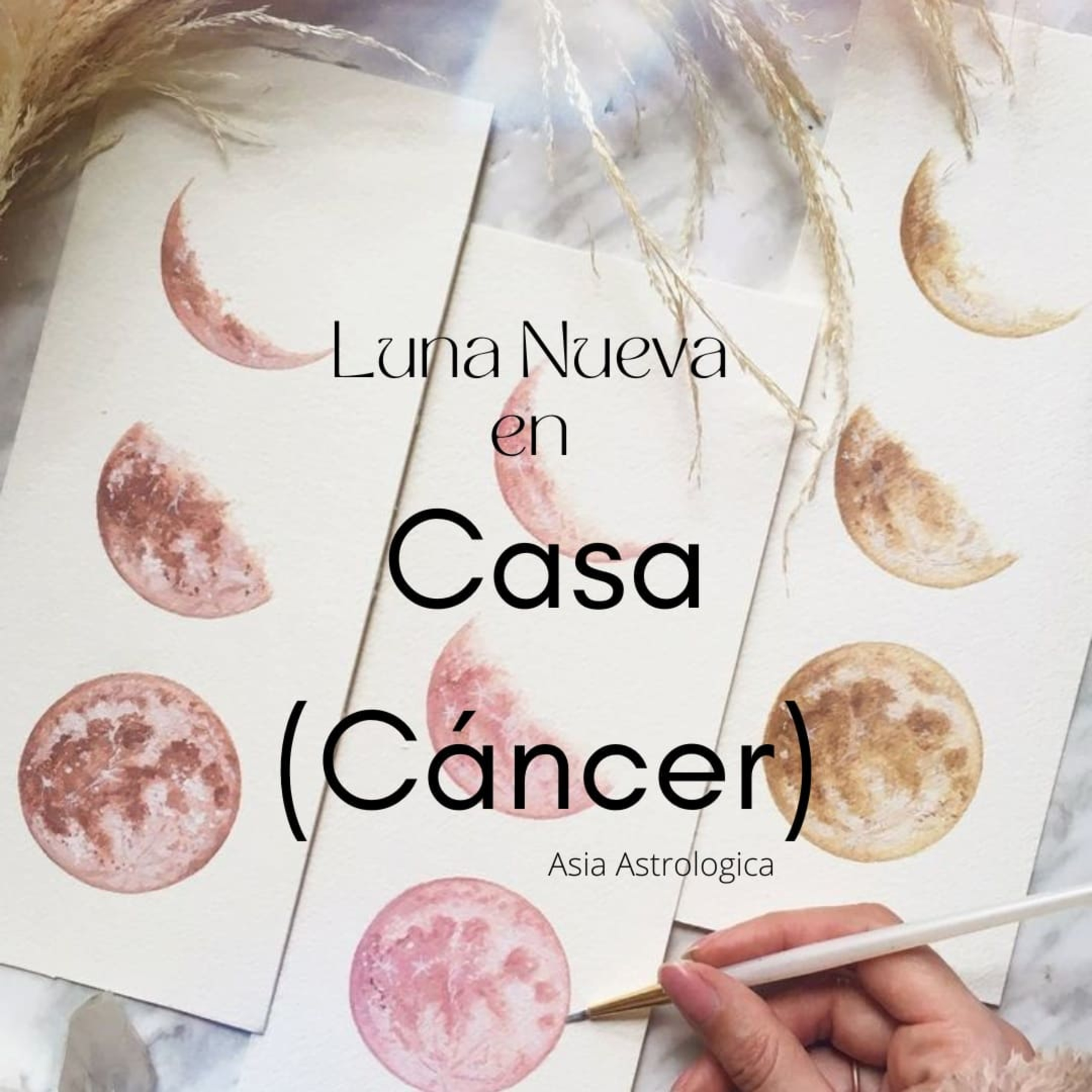 Luna Nueva El regreso a Casa 🌙 episode artwork