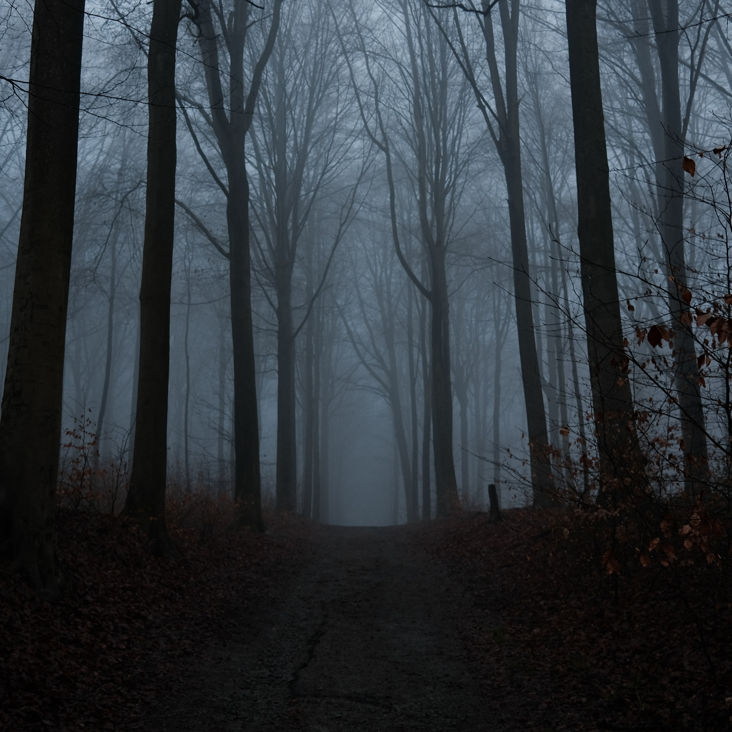 Creepypasta Deutsch