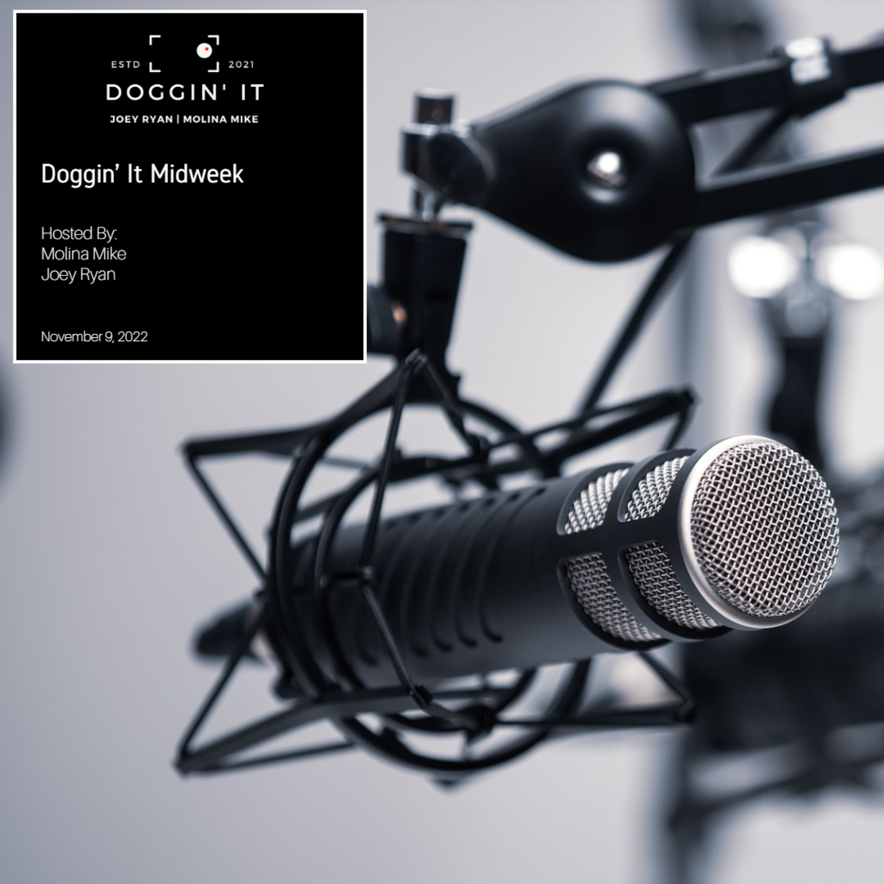 Doggin' It Midweek episode artwork