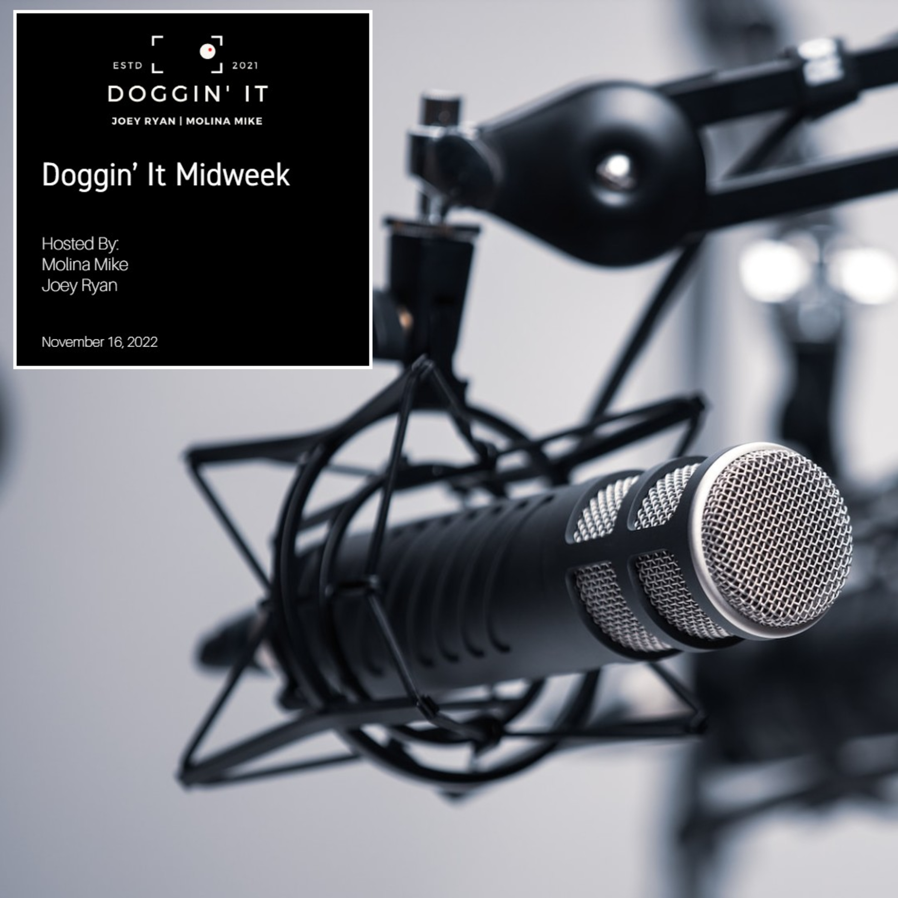 Doggin' it Midweek episode artwork
