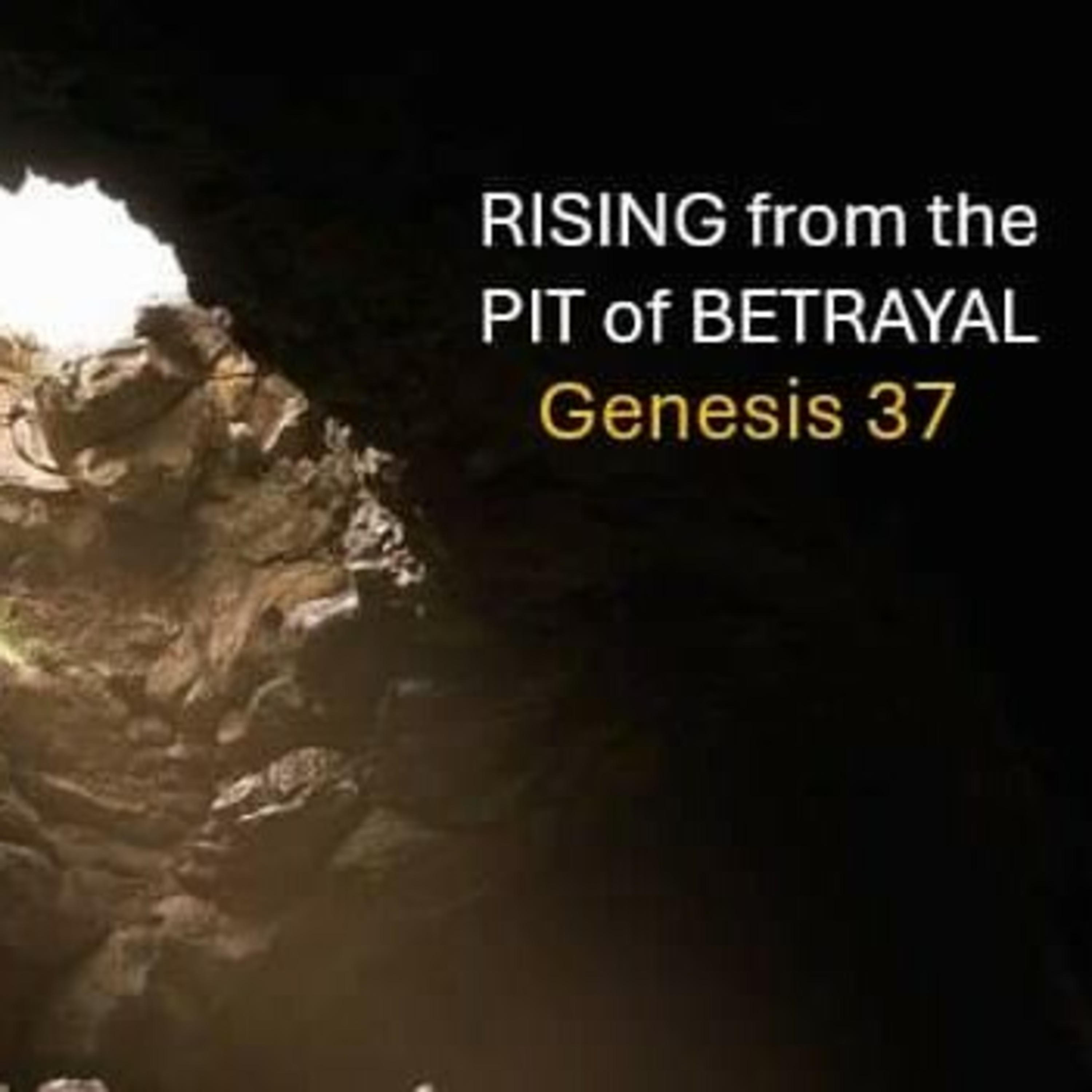 Reddicks Grove Baptist