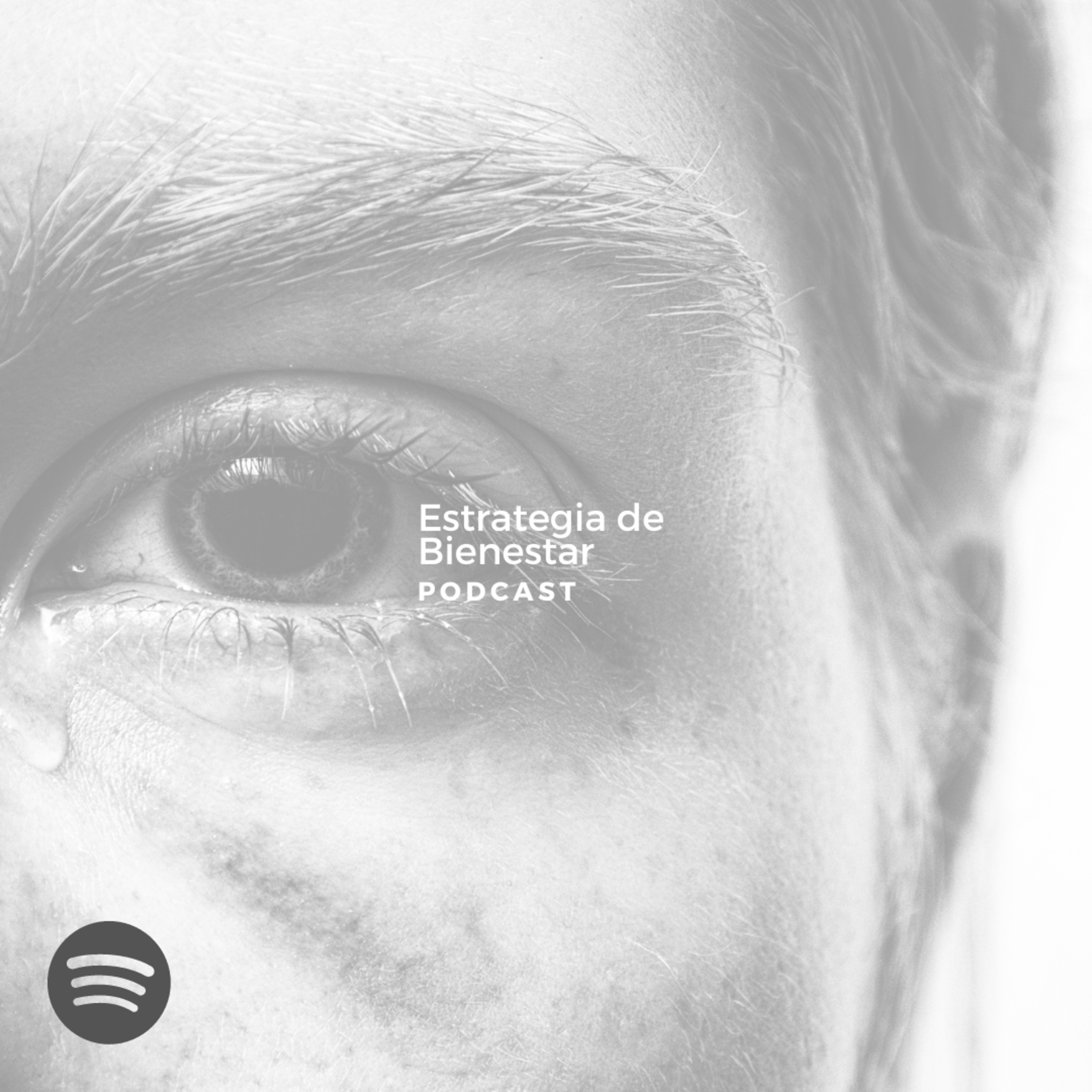 Estrategia de Bienestar