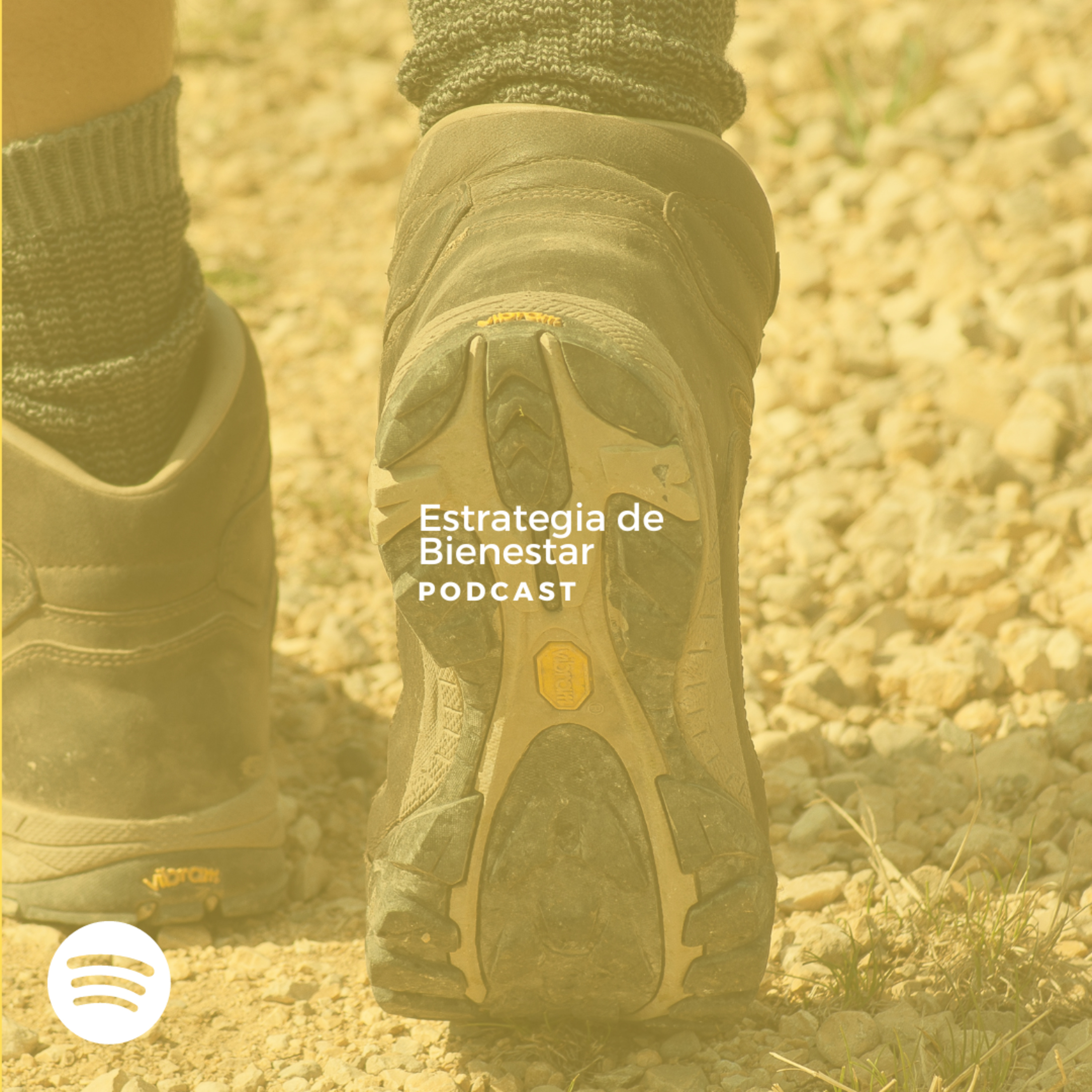 Estrategia de Bienestar