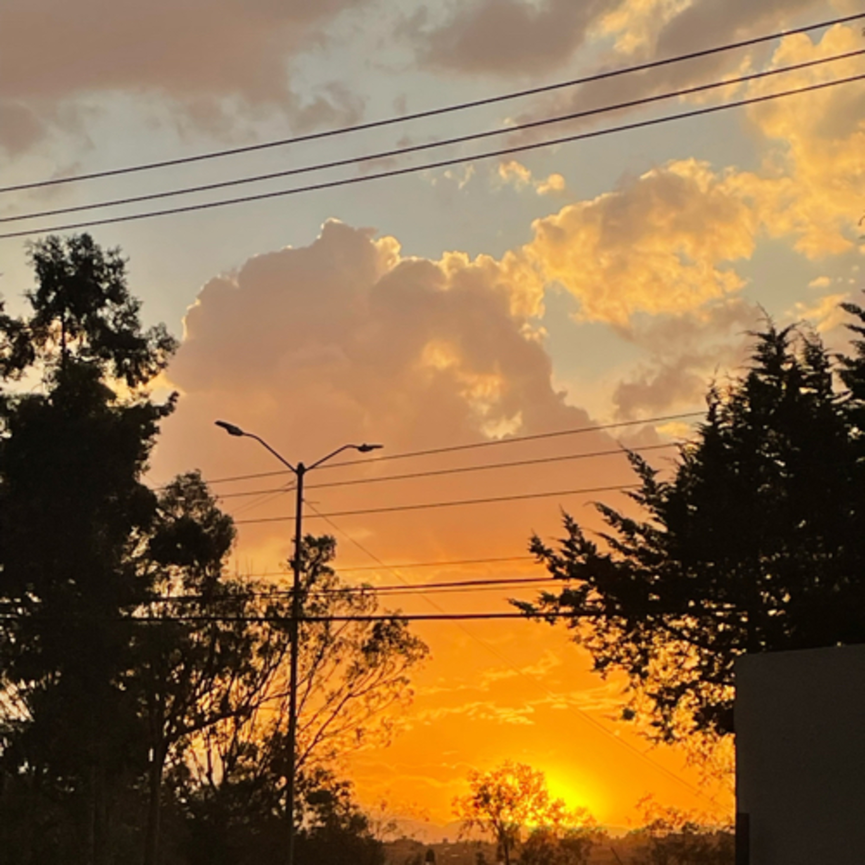VIVIR PLENO EN DIOS