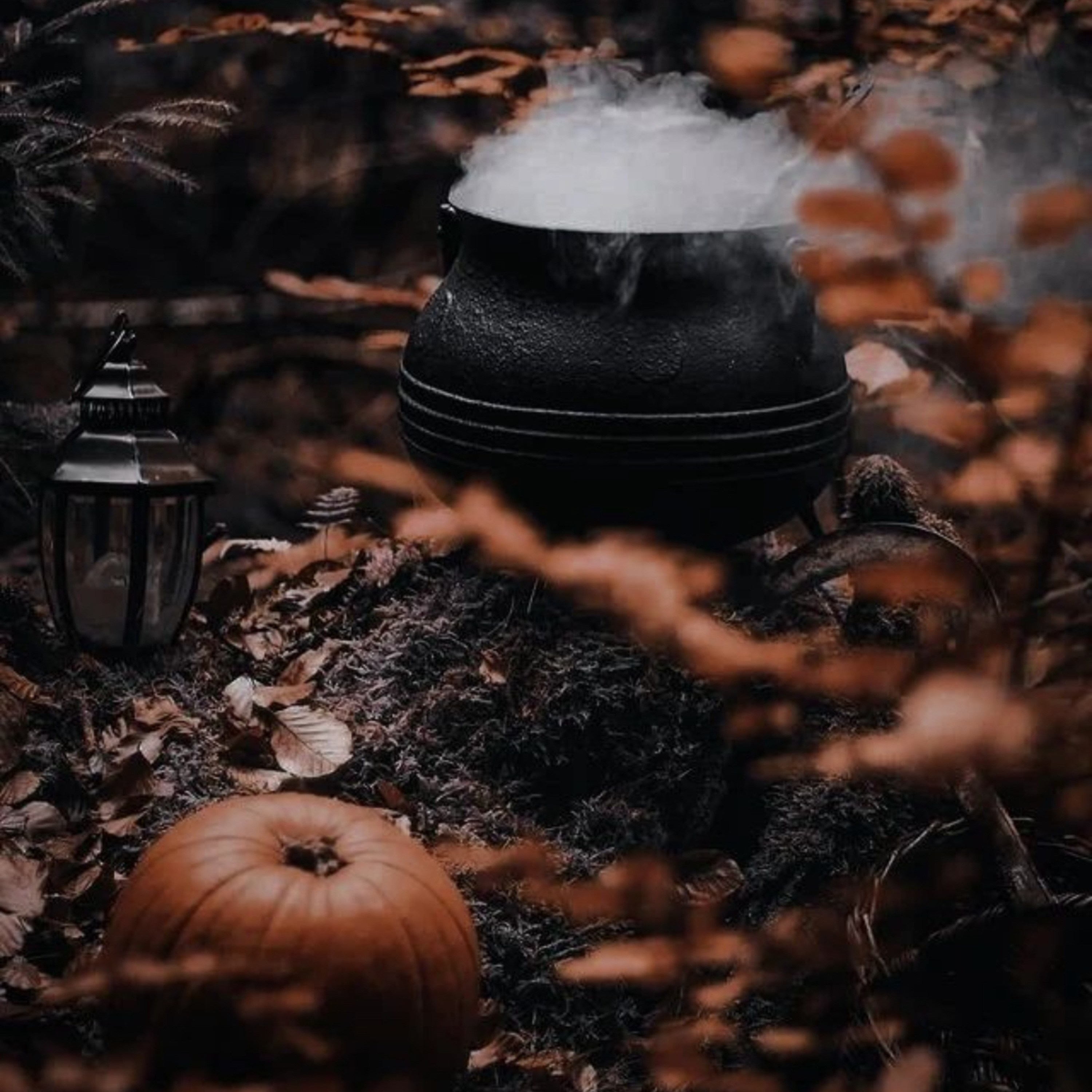 Mystic Grove