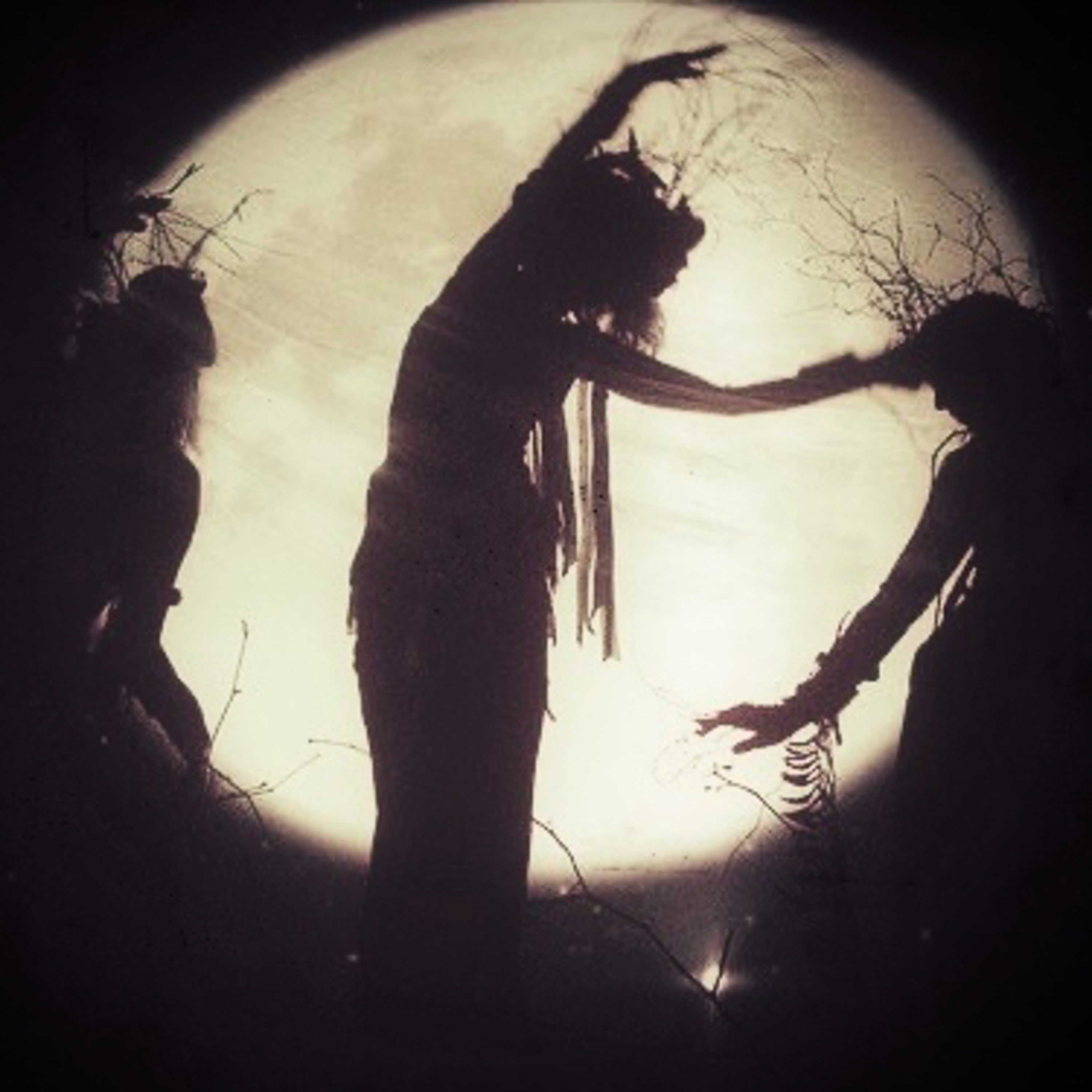 Mystic Grove