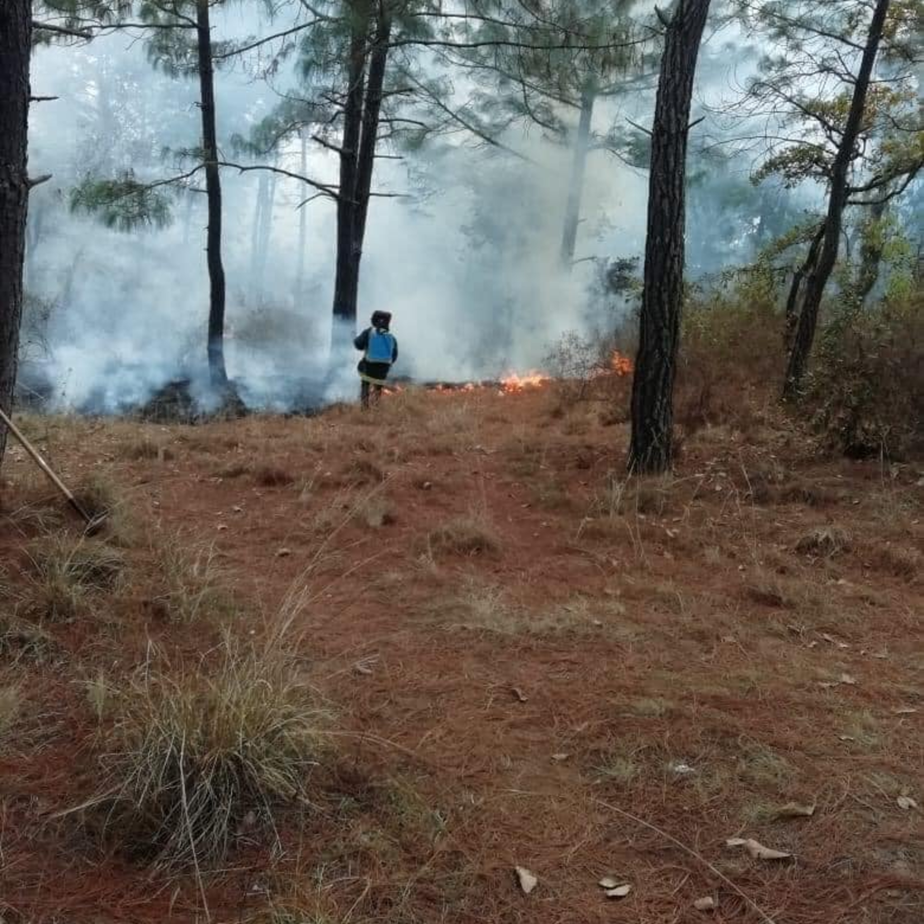 Incendio forestal en San pedro Jocopilas. episode artwork
