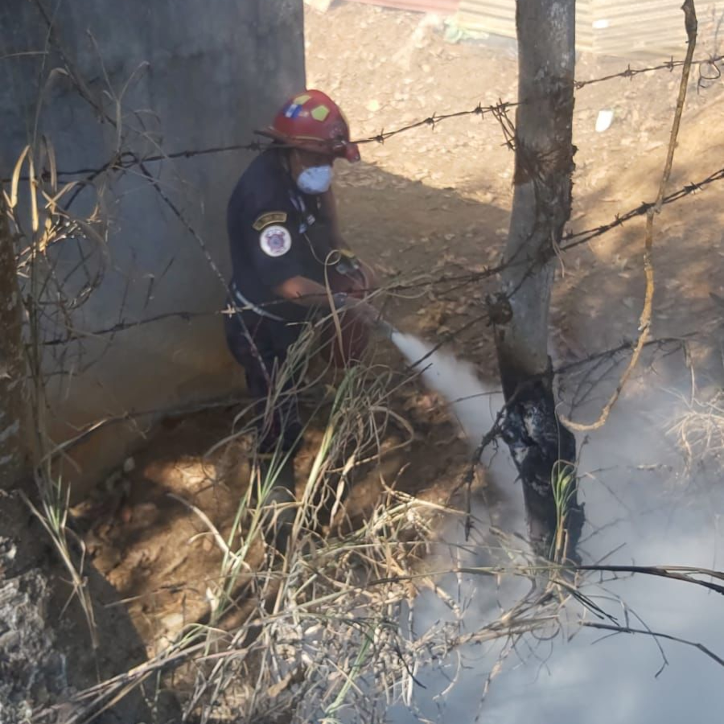 Incendio forestal en el municipio de Chiché, Quiché. episode artwork