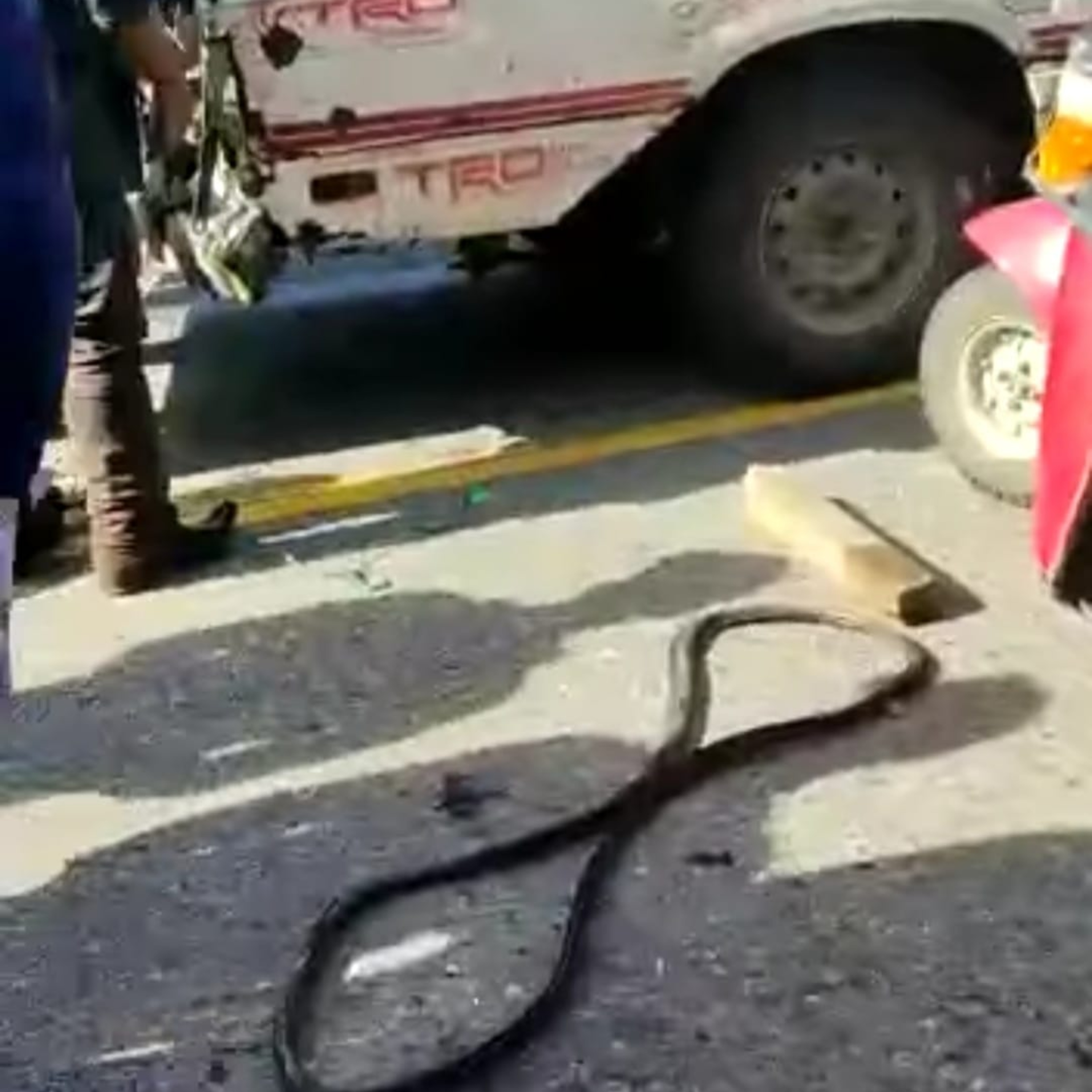 Accidente fatal, en carretera a Chicamán. episode artwork
