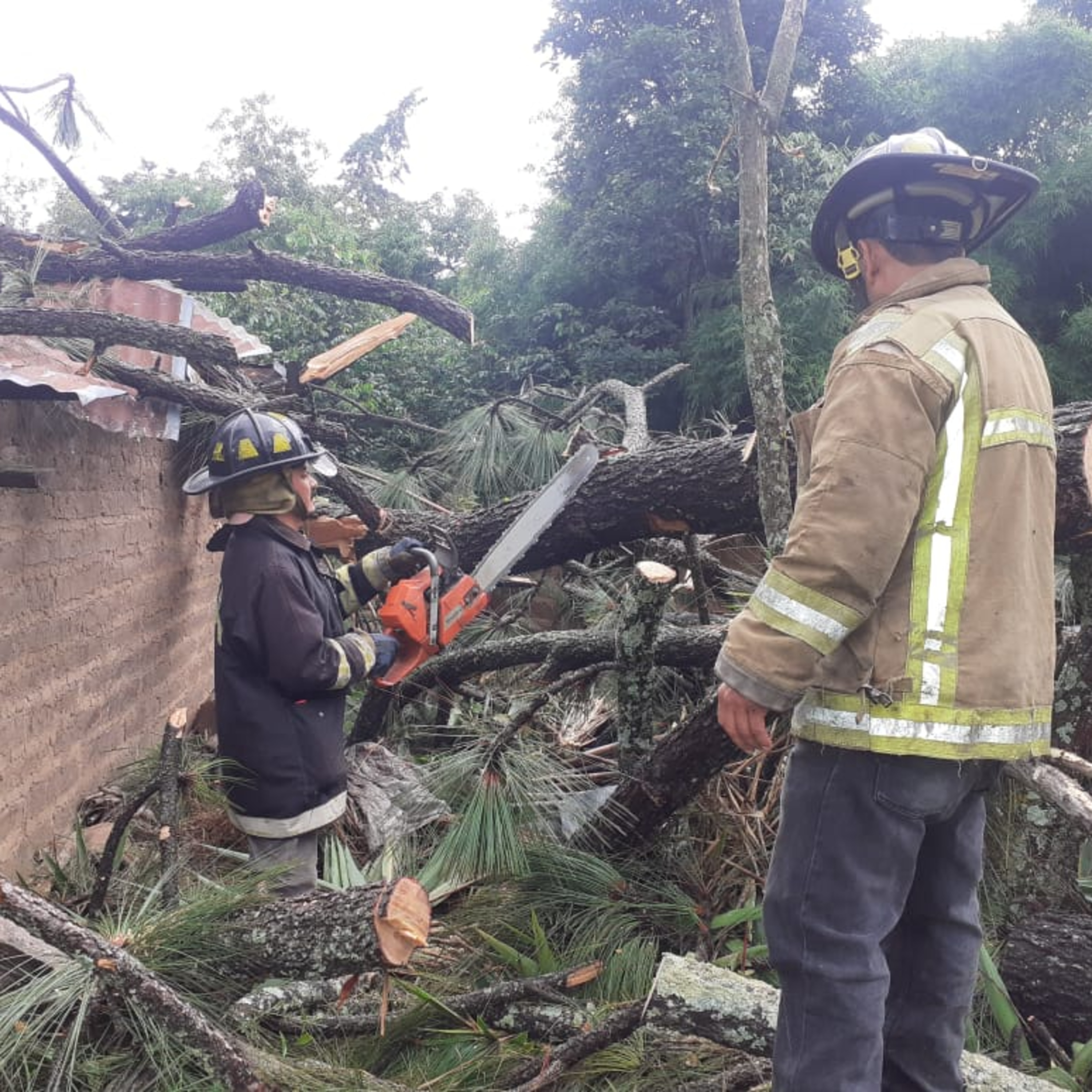 Árbol cae sobre vivienda en Zacualpa.  episode artwork