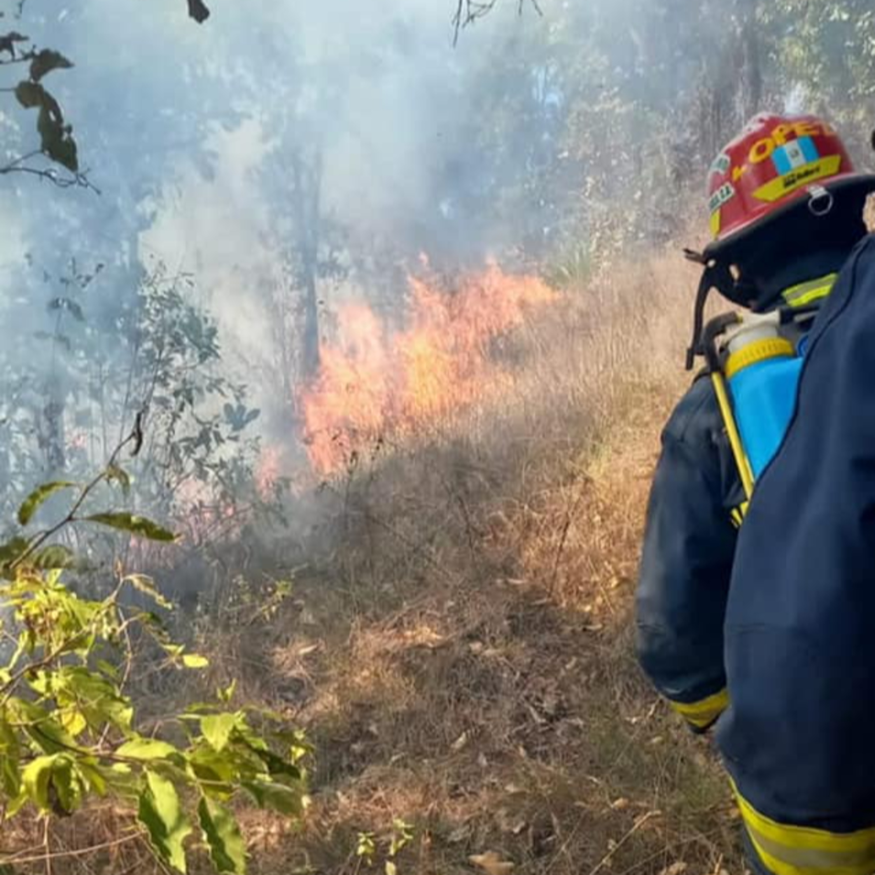 Incendio forestal en San Pedro Jocopilas. episode artwork