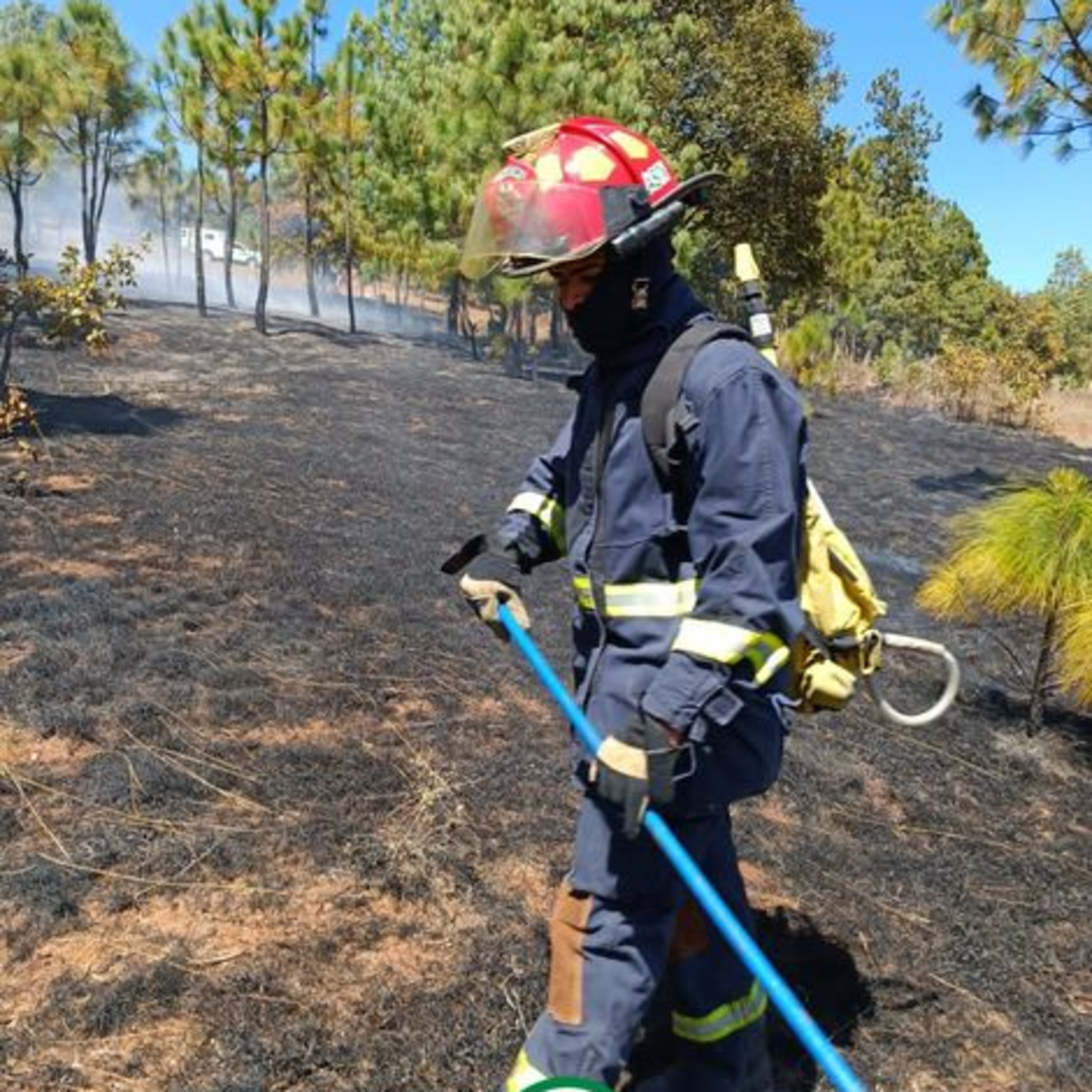 Se registran incendios forestales. episode artwork