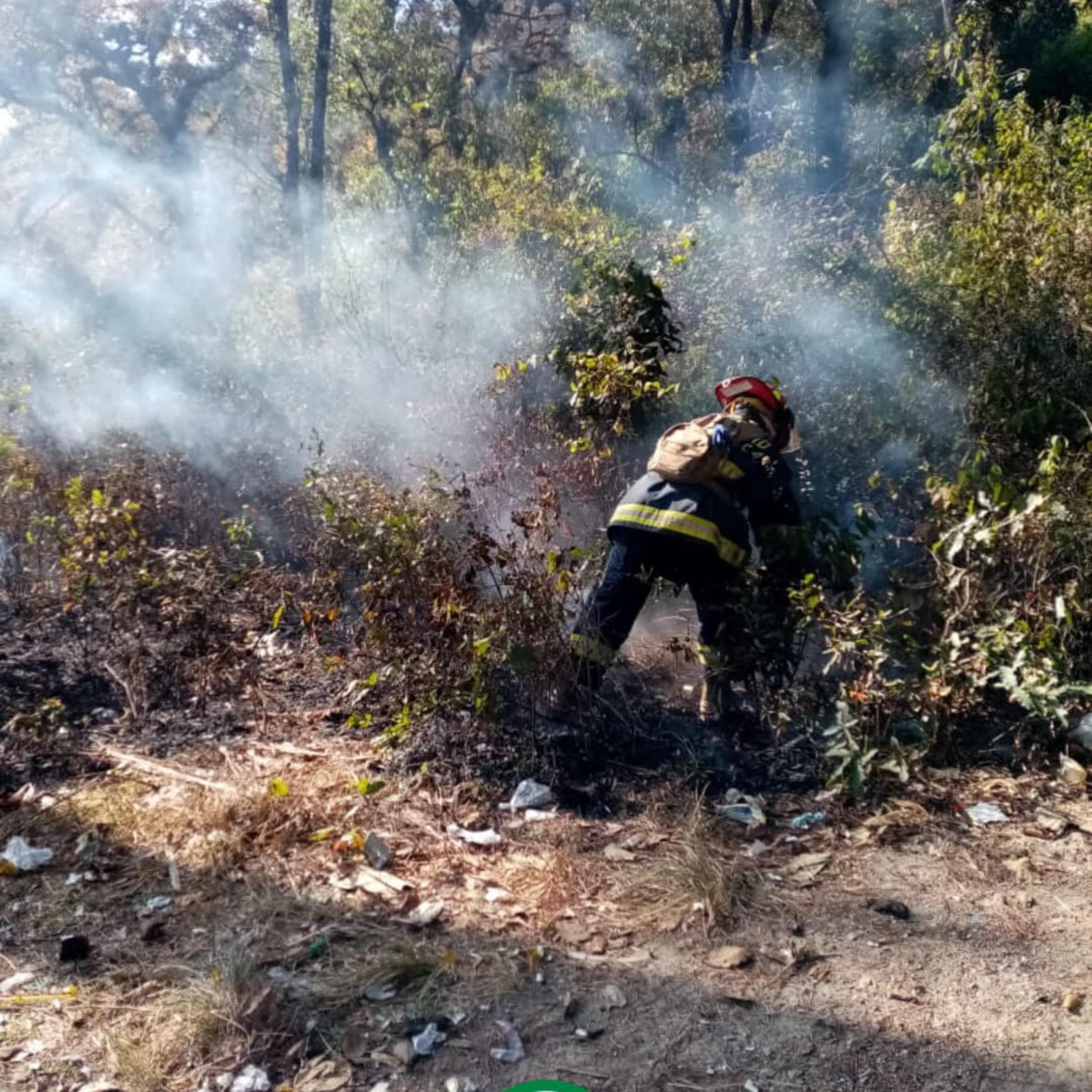 Incendio forestal en Chichicastenango. episode artwork