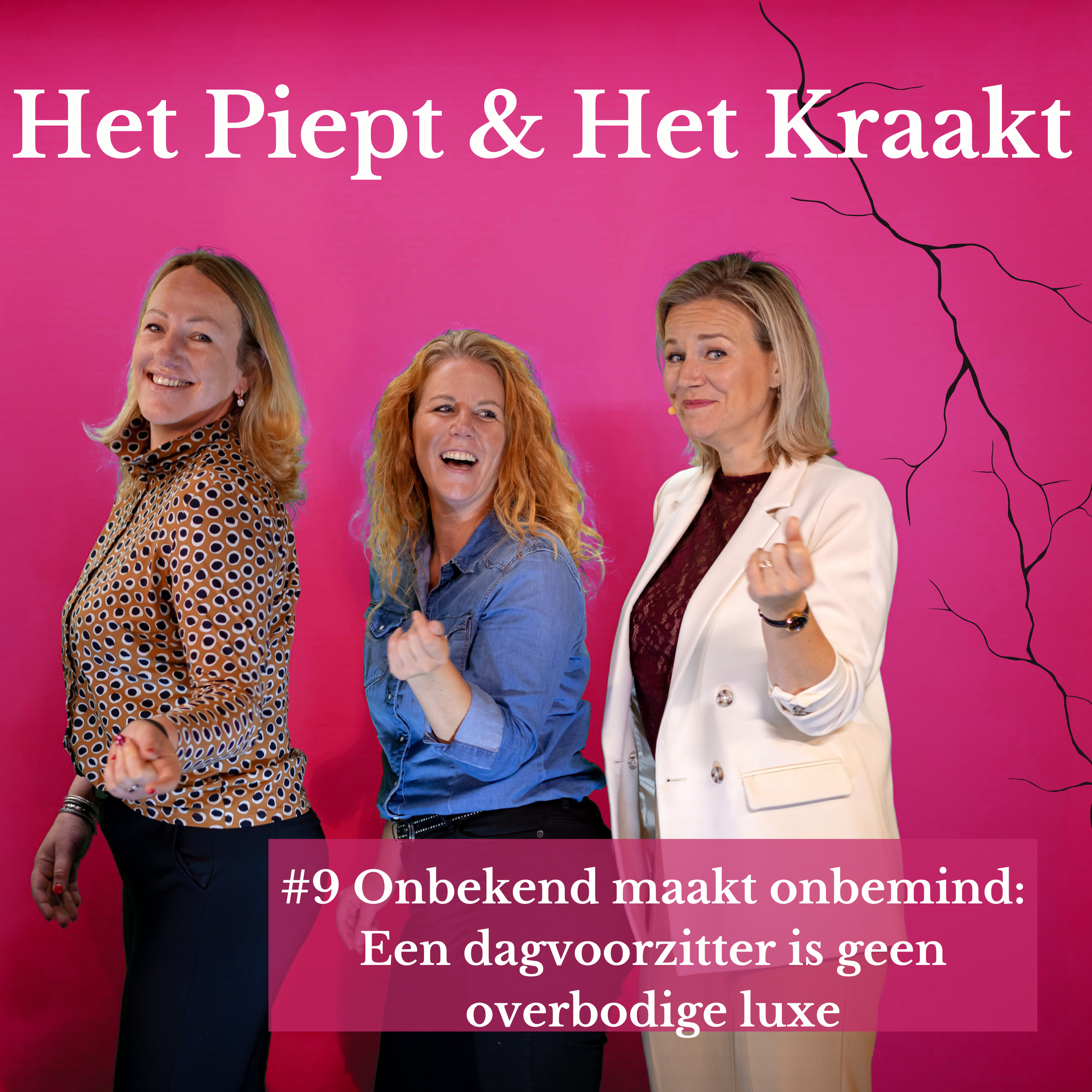 Het Piept en Het Kraakt