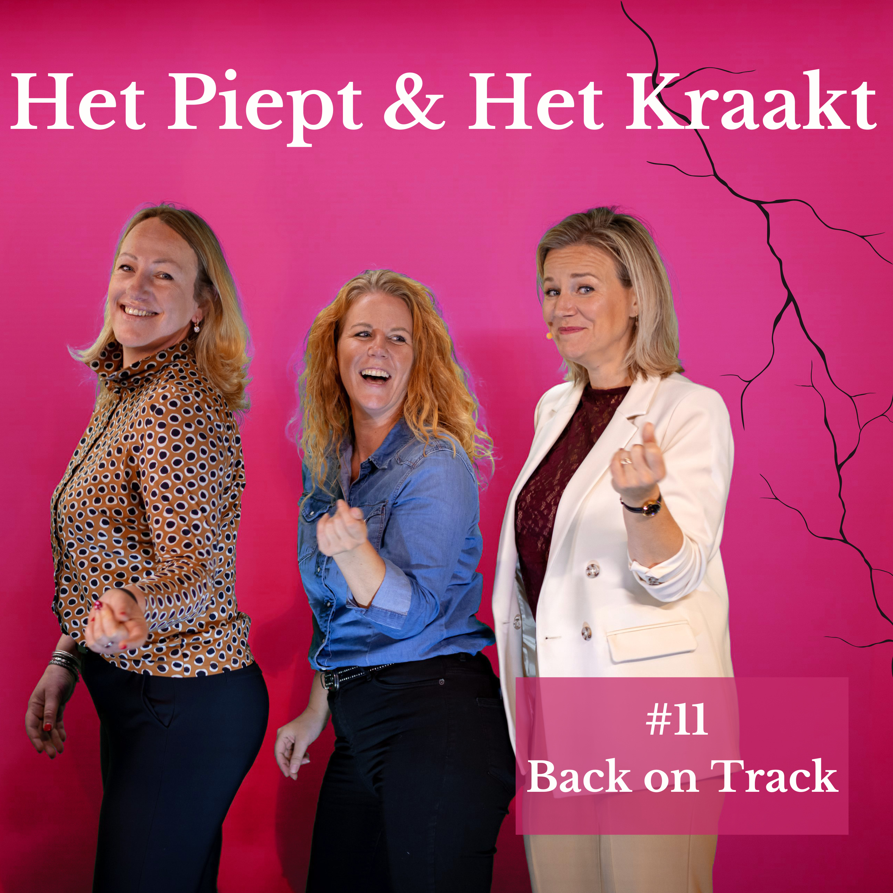 Het Piept en Het Kraakt