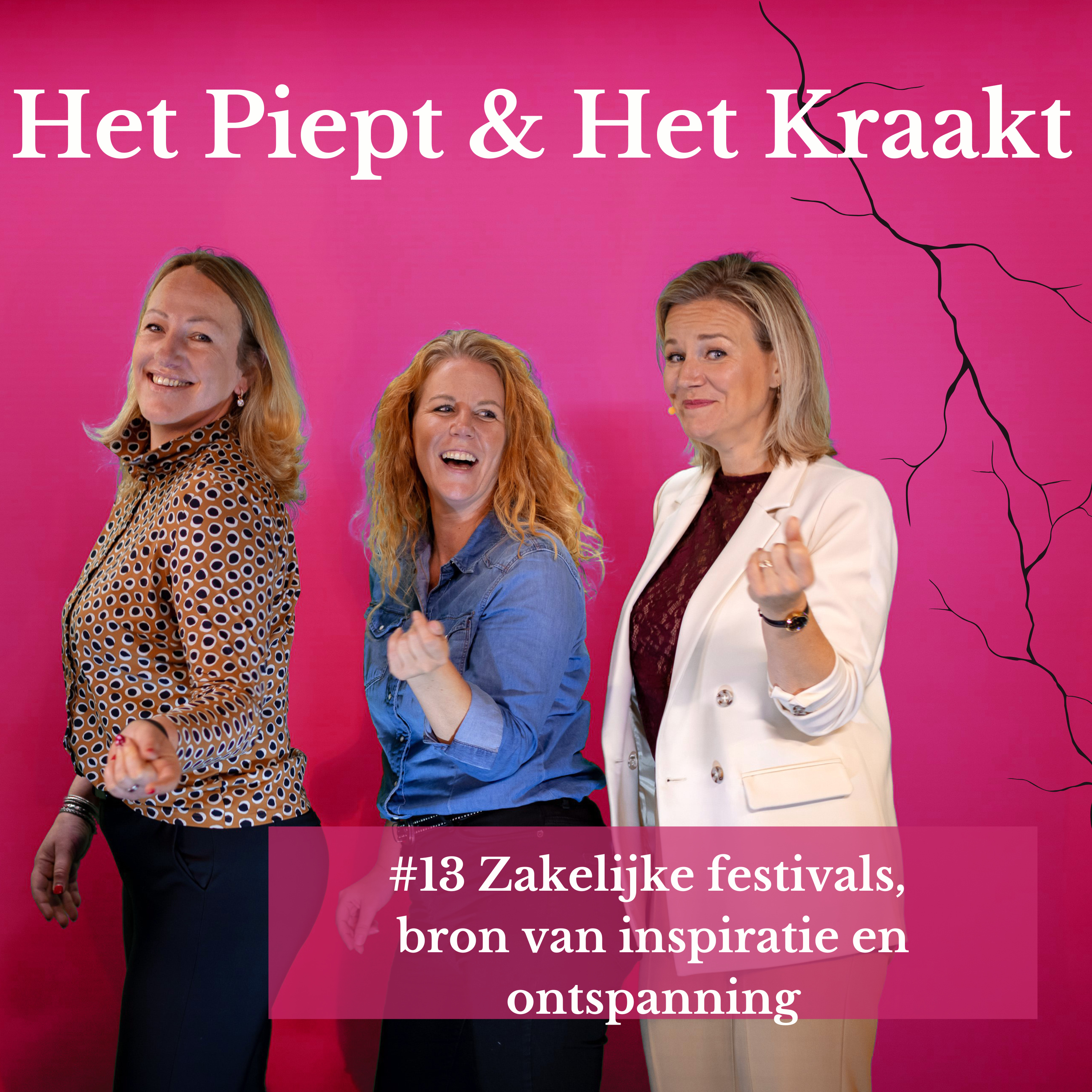 Het Piept en Het Kraakt