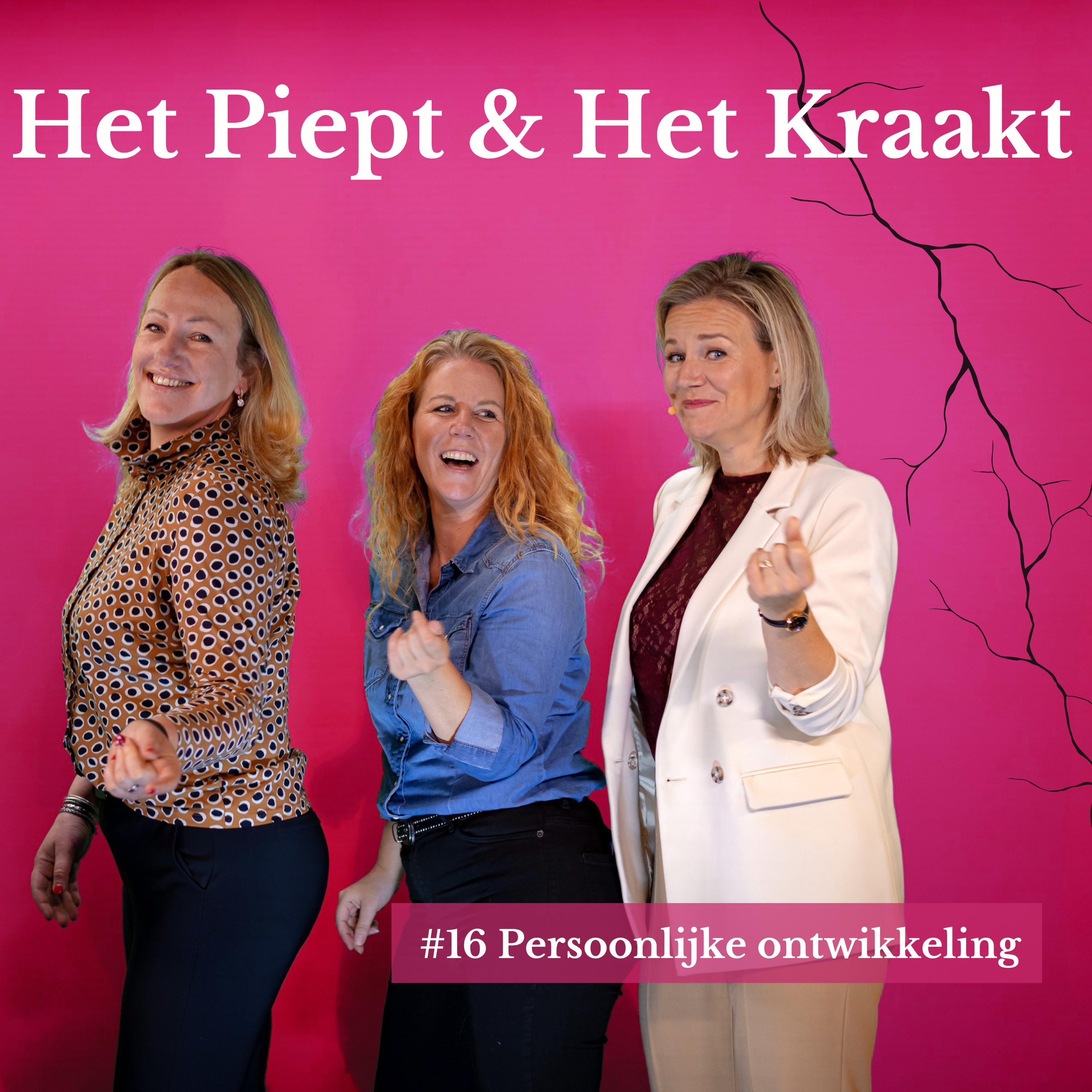 Het Piept en Het Kraakt