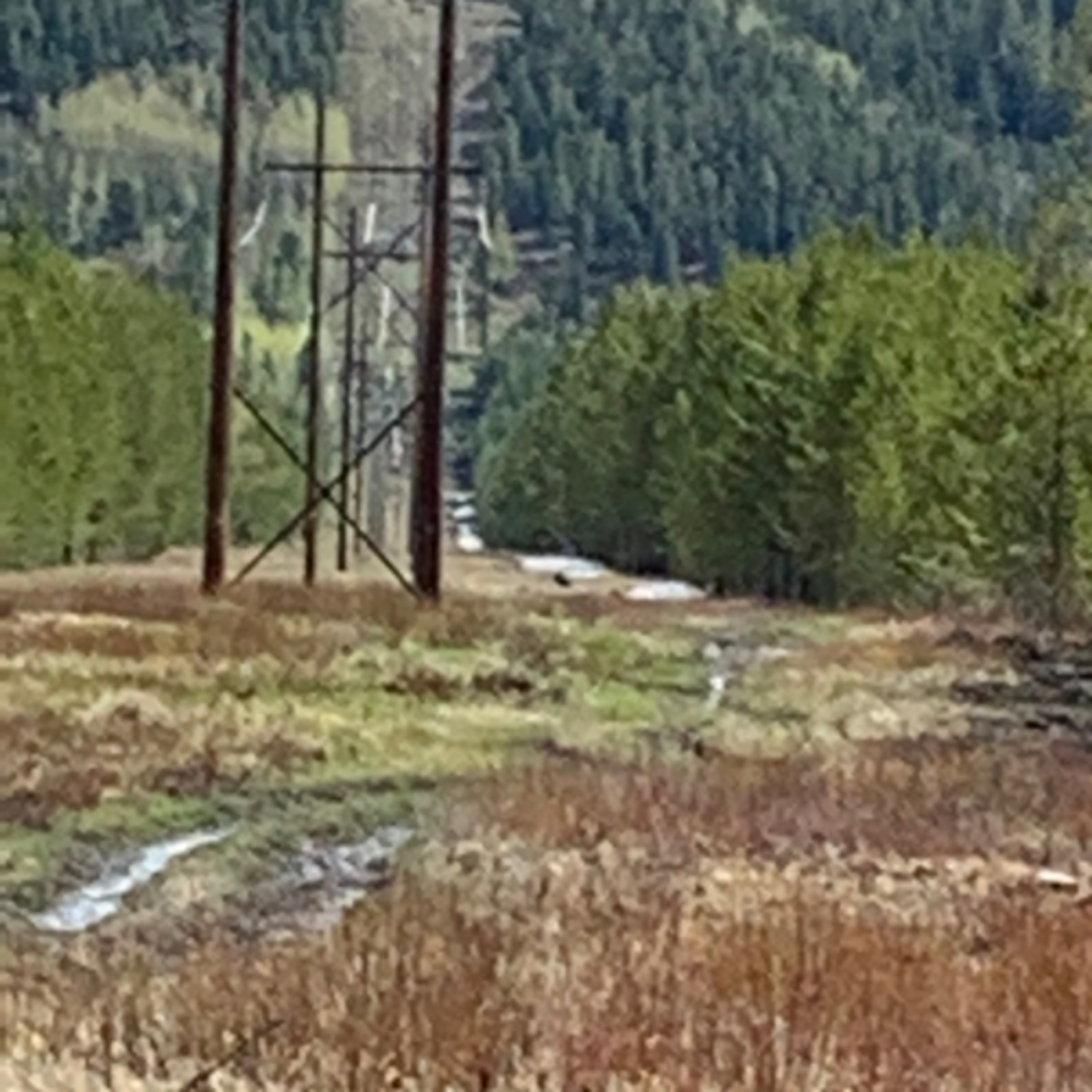 Leadership and Power.