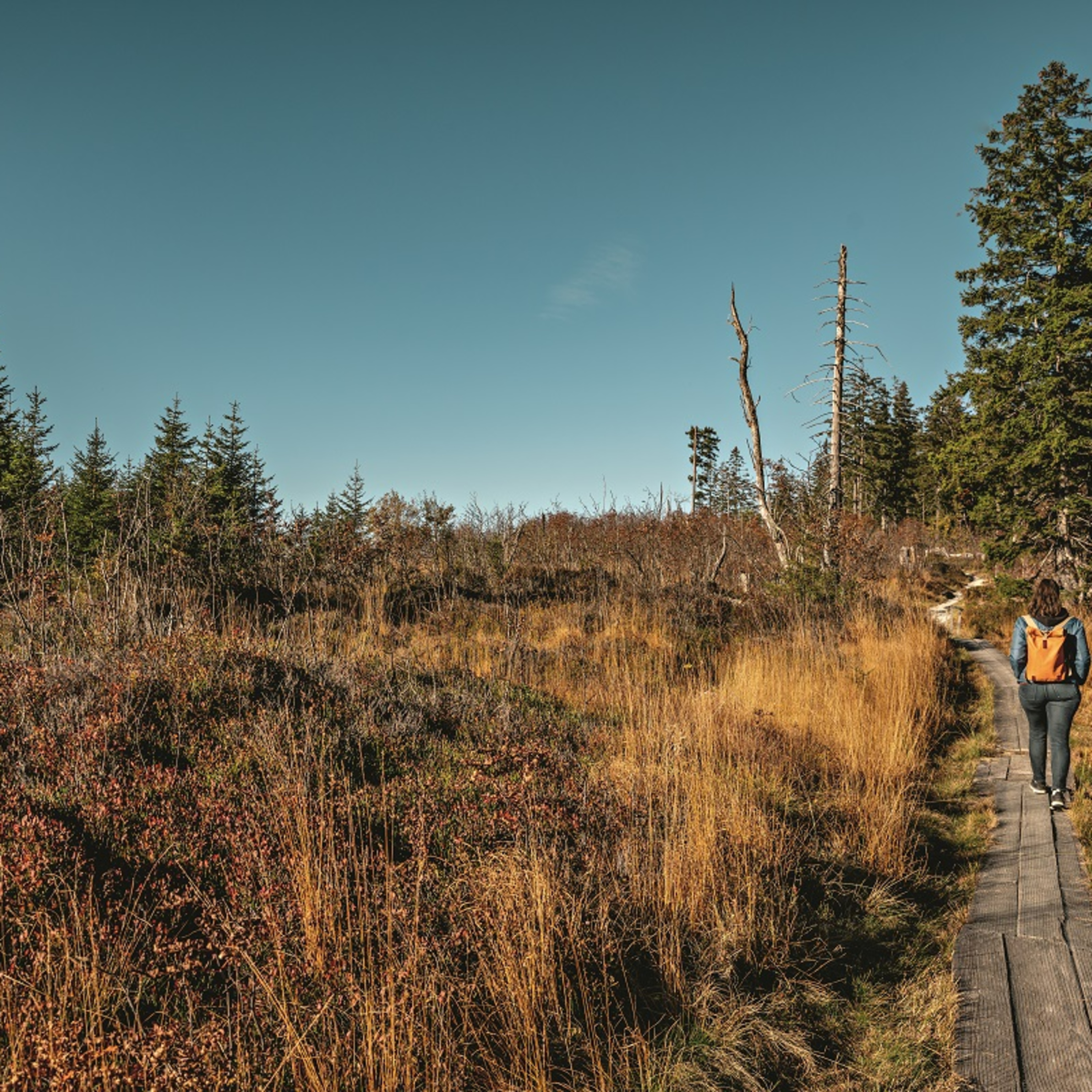 Gantrisch im Ohr - Spannends usem Naturpark