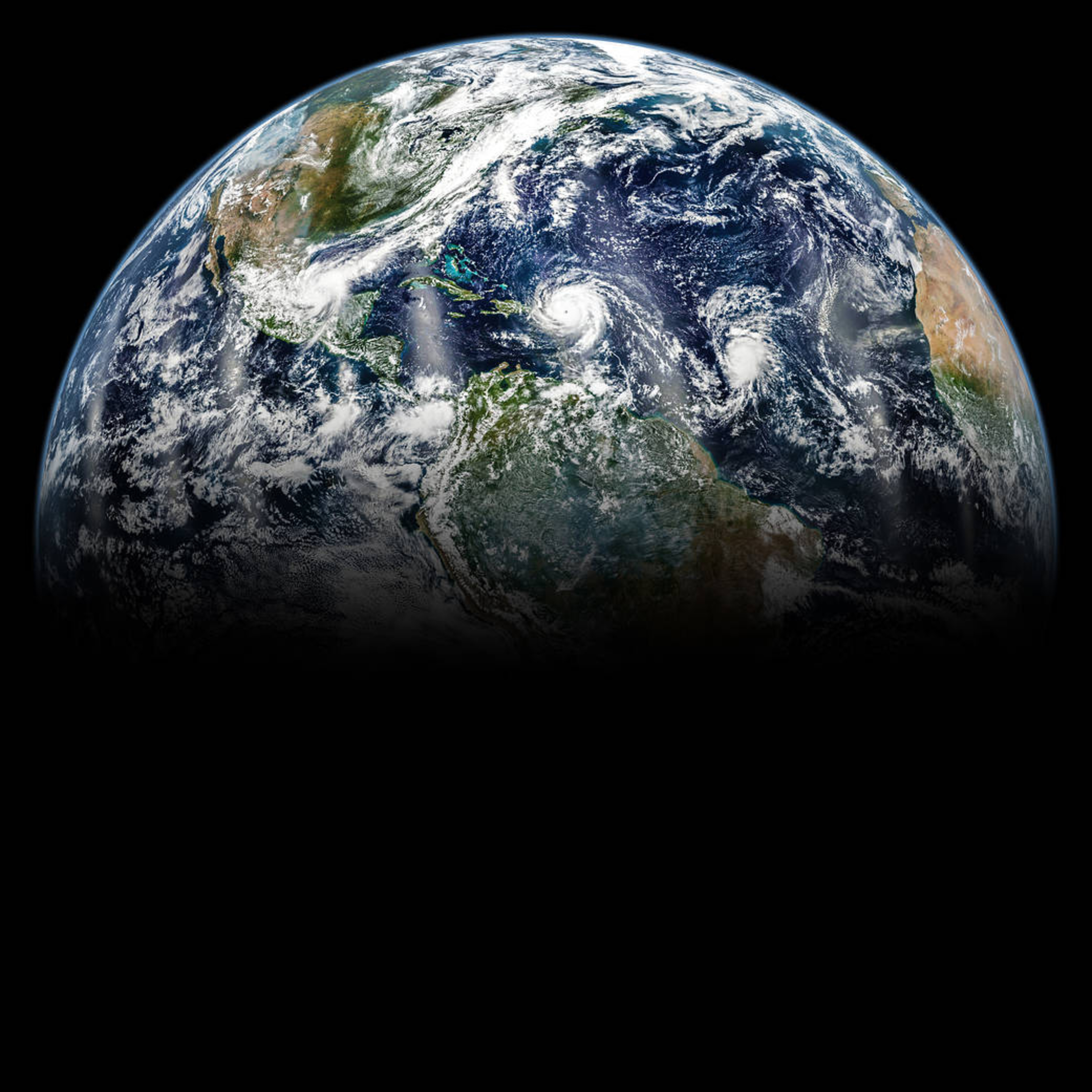 Ecología Topísima