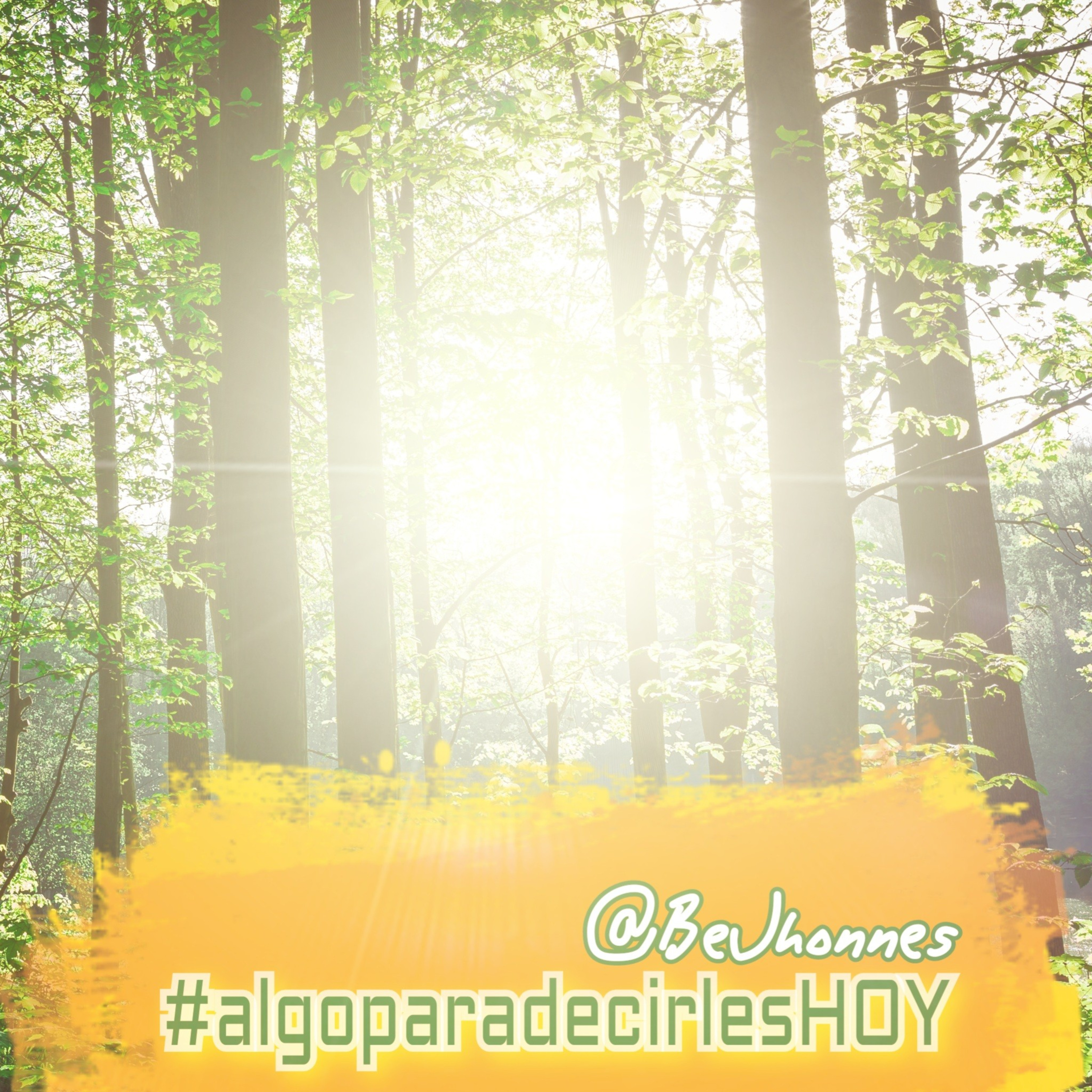 Portada de AlgoparadecirlesHOY - BeJhonnes
