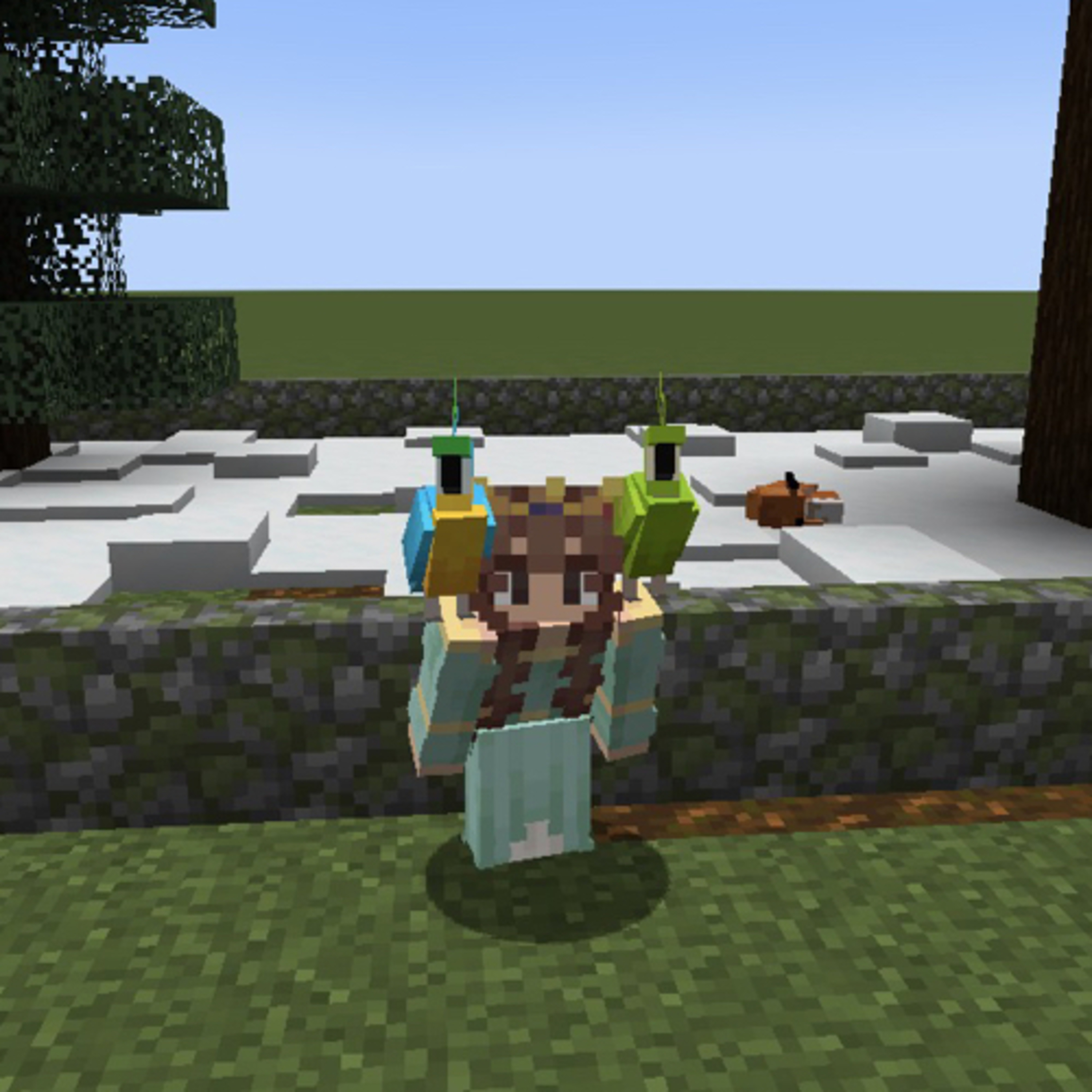 Minecraft mania