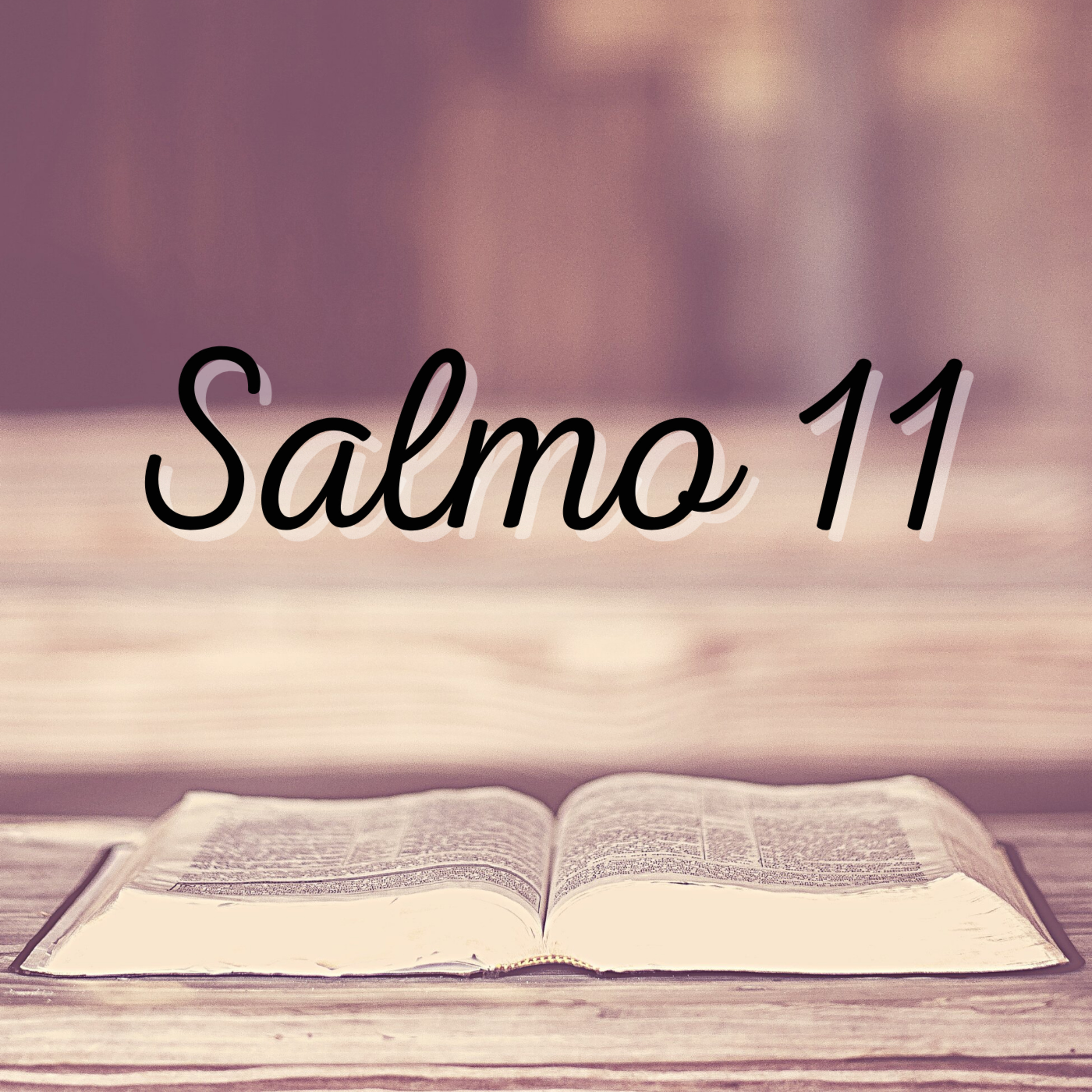 SALMO 11 COMENTADO VERSO A VERSO episode artwork