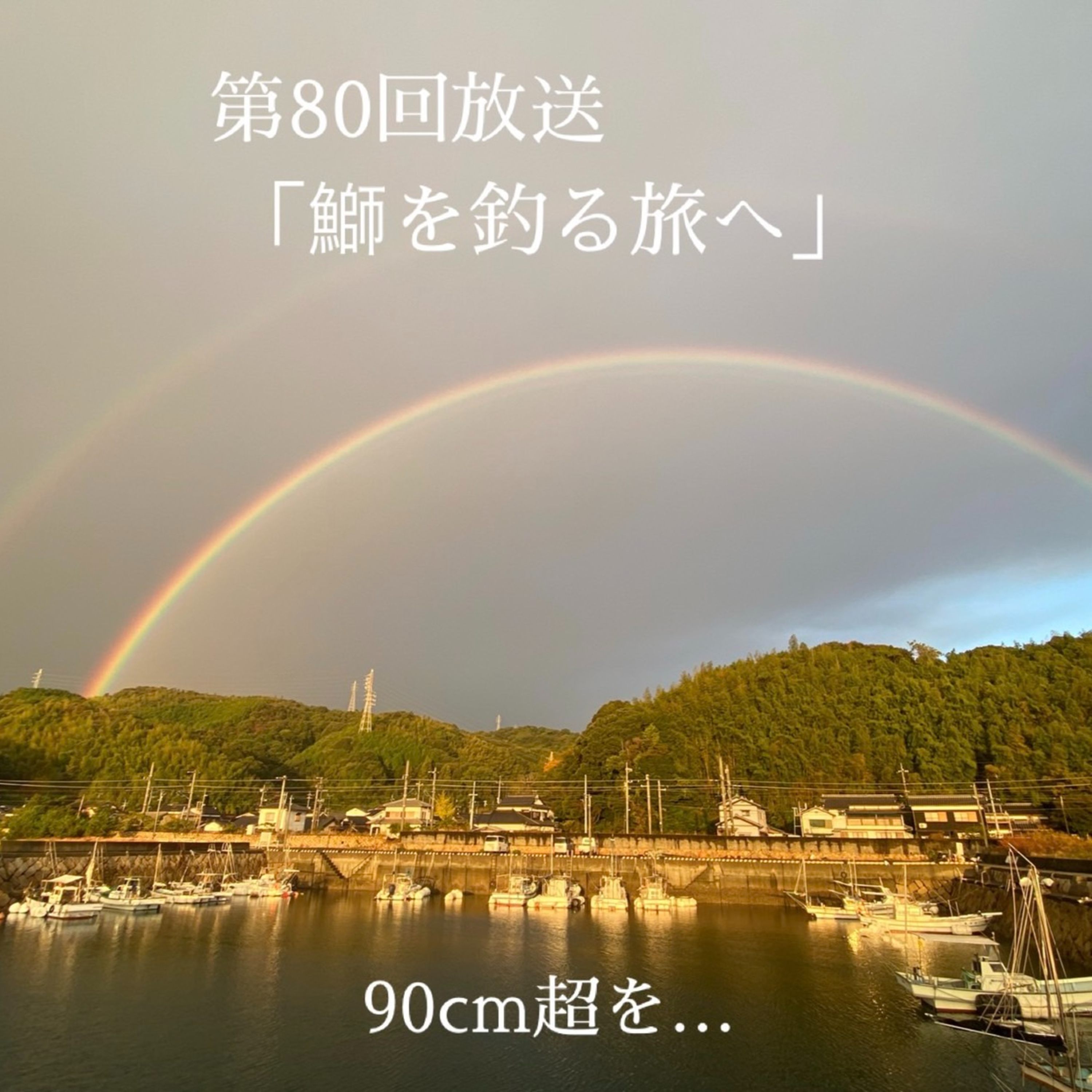 鰤を釣る旅へ episode artwork