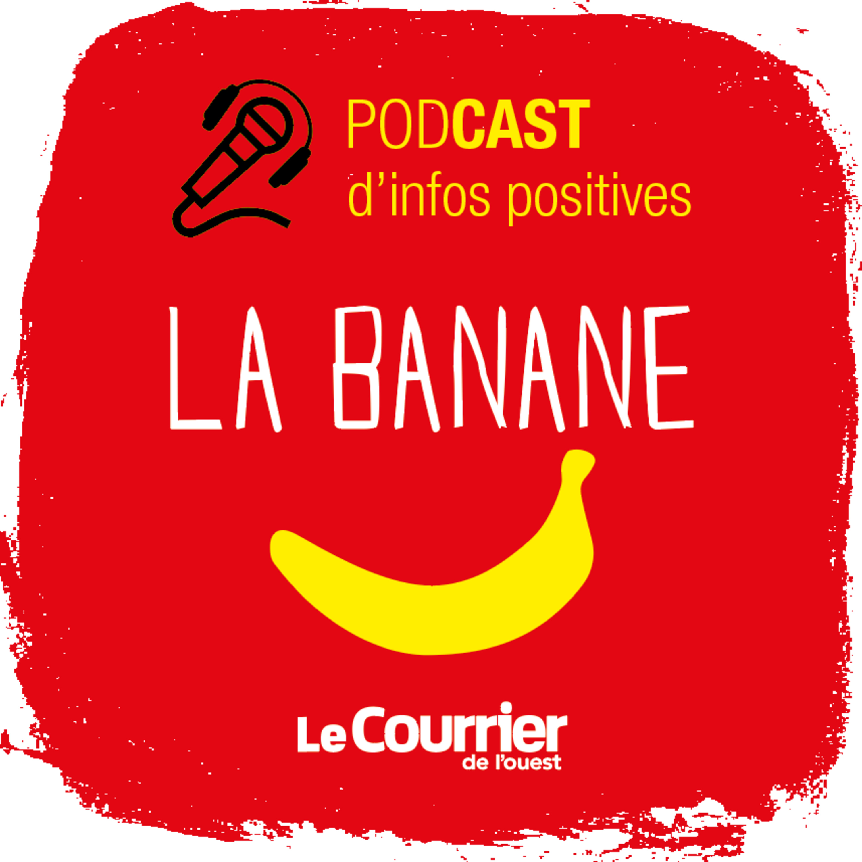 Angers-SCO : autopsie d\'un crash