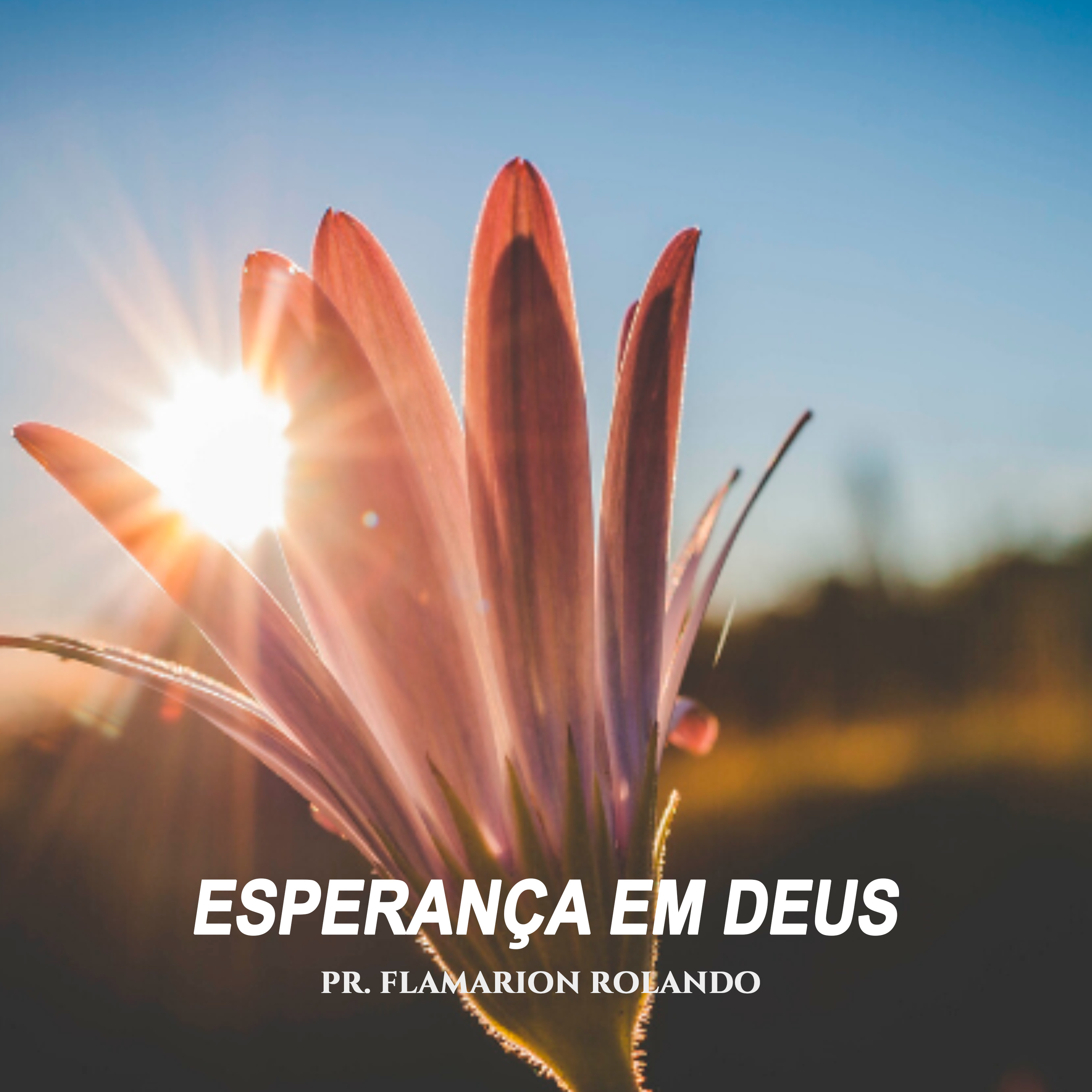 Pr. Flamarion Rolando