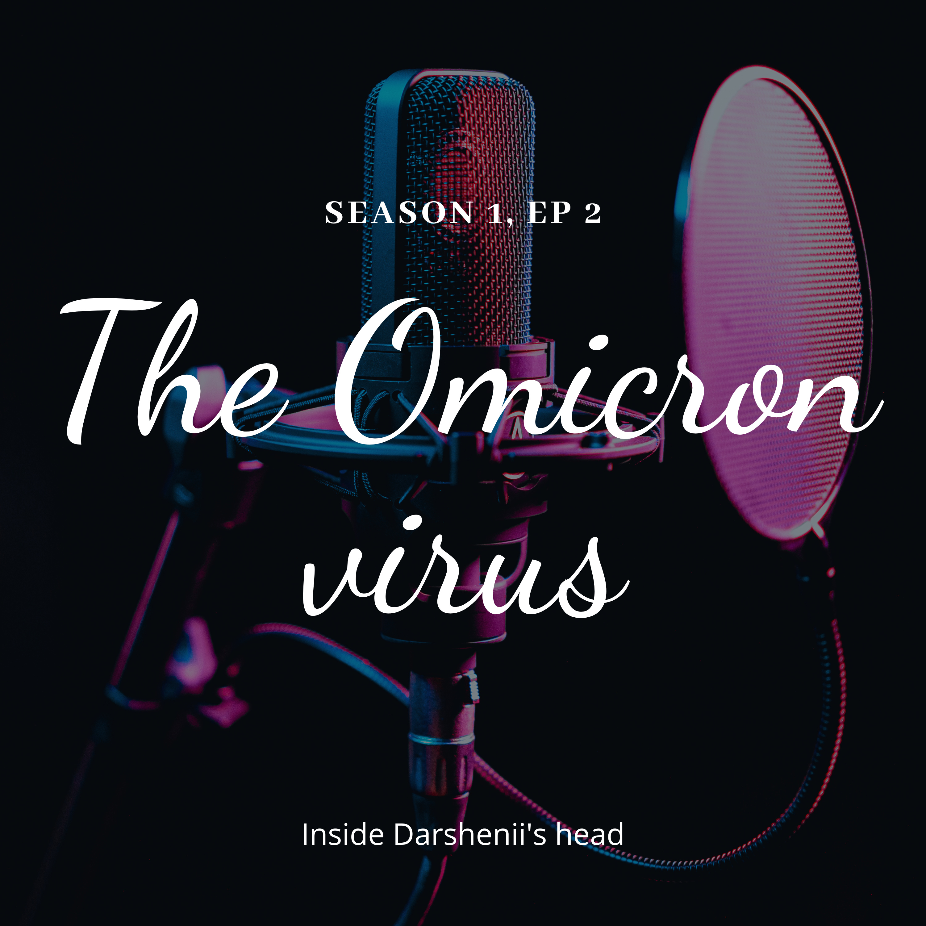 Inside Darshenii\'s Head