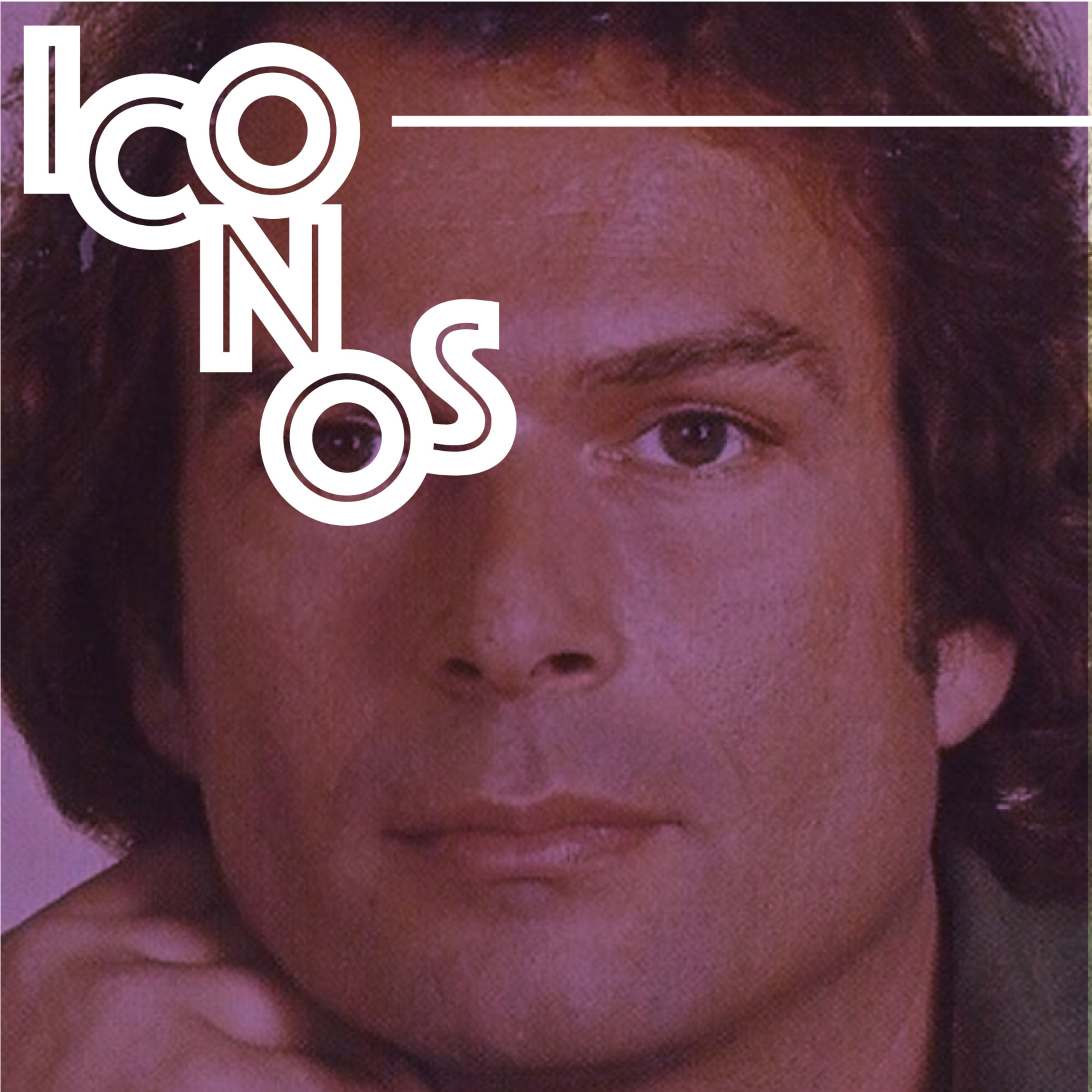 Íconos